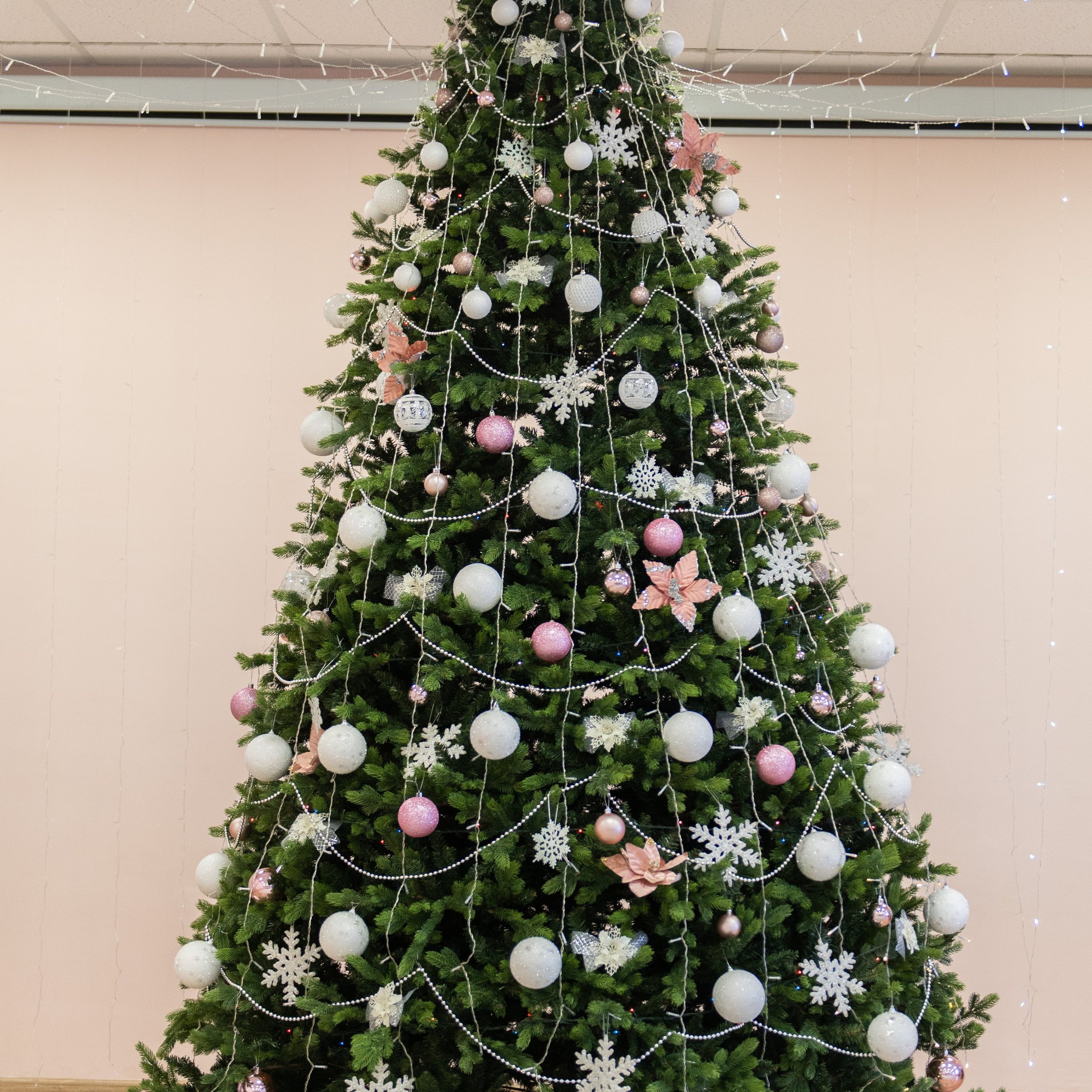 Отзывы. Фотограф Семён Пишта