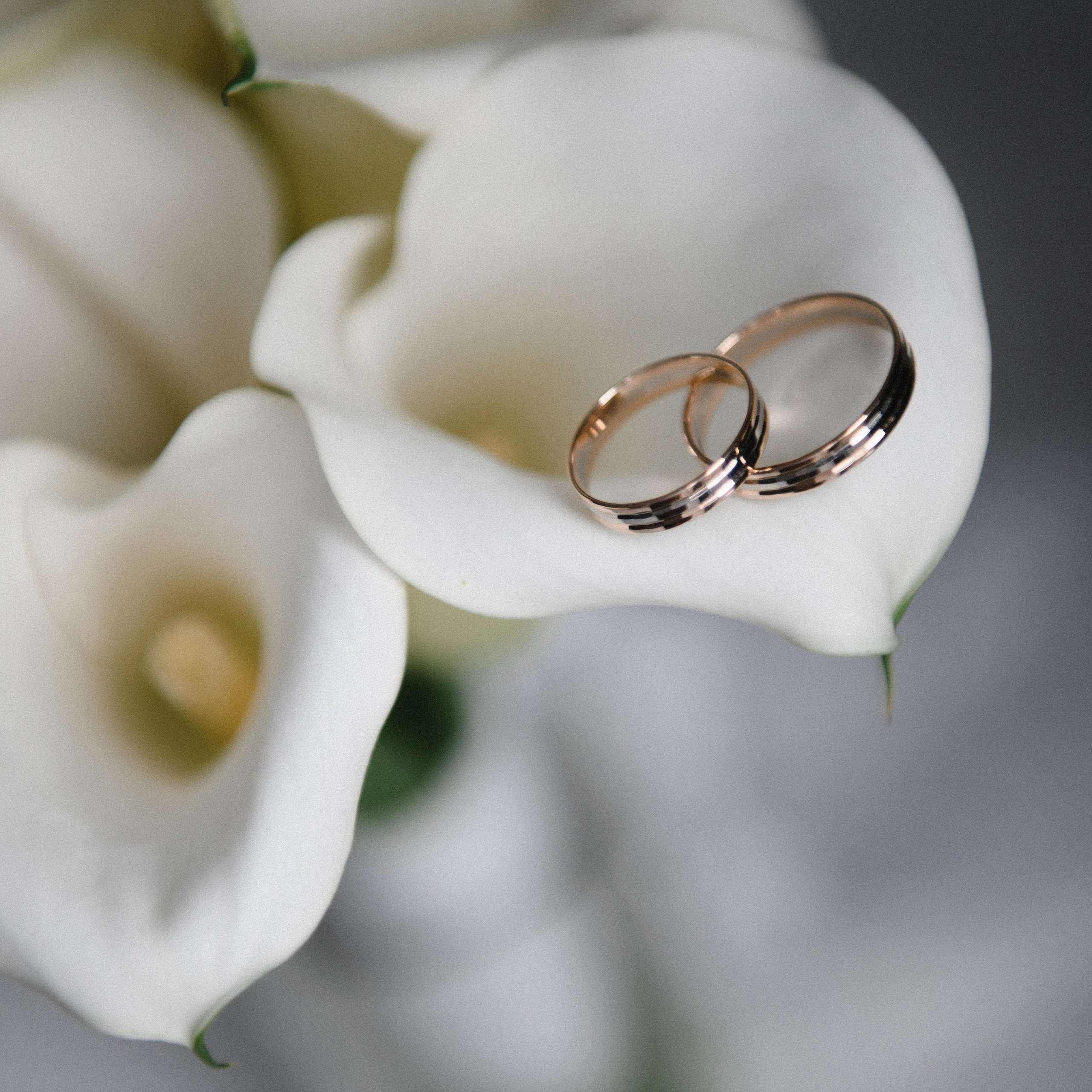 Отзывы. Фотограф Семён Пишта