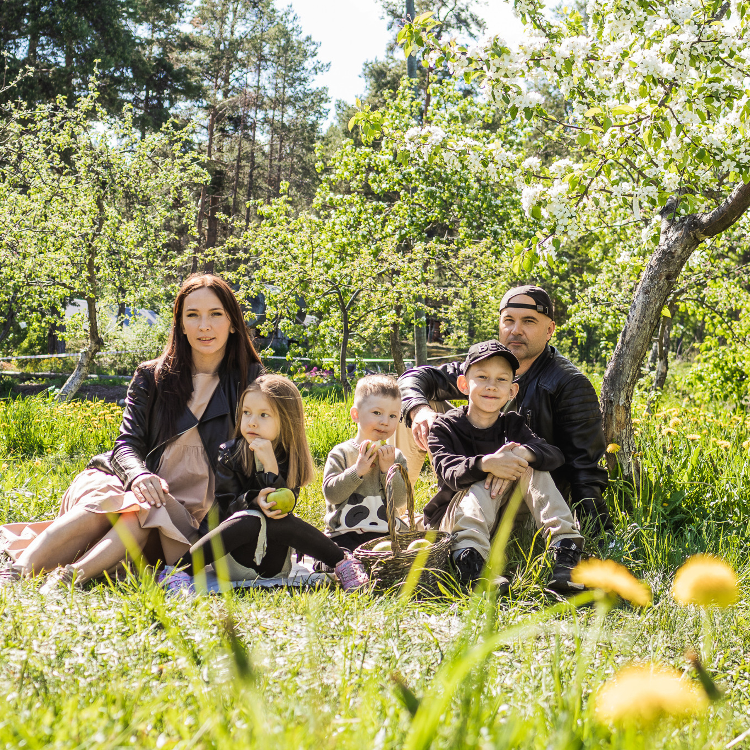 Отзывы. CLICKVIDA