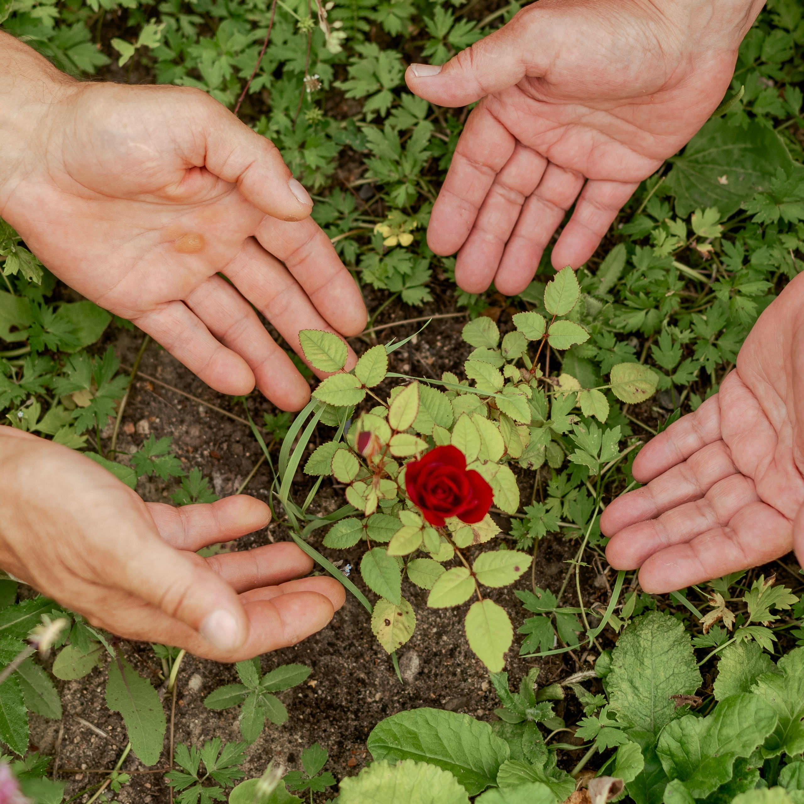 Отзывы. CLICKVIDA