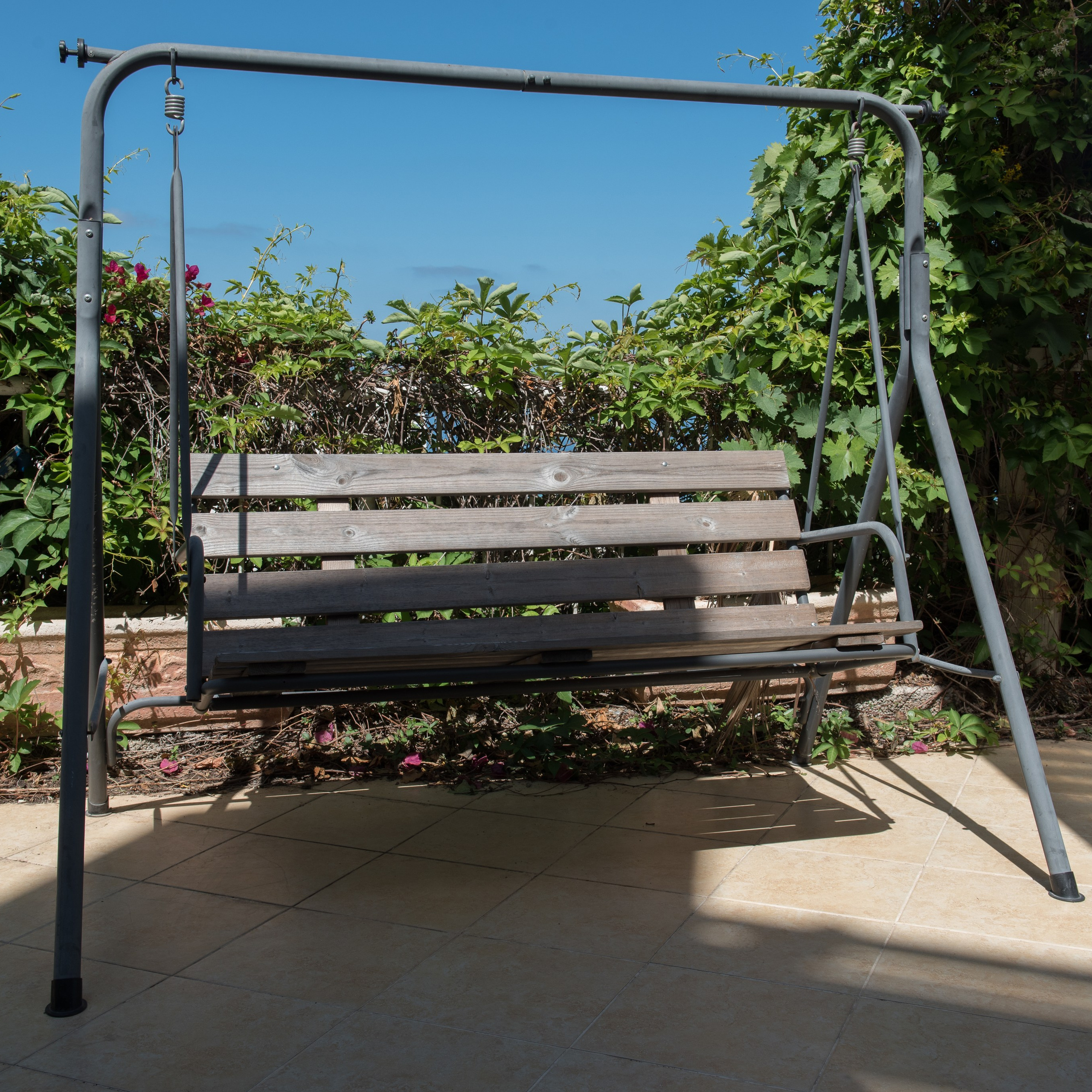 Фотосъемки для бизнеса. Семейный фотограф Израиль. Фотокниги и школьные альбомы