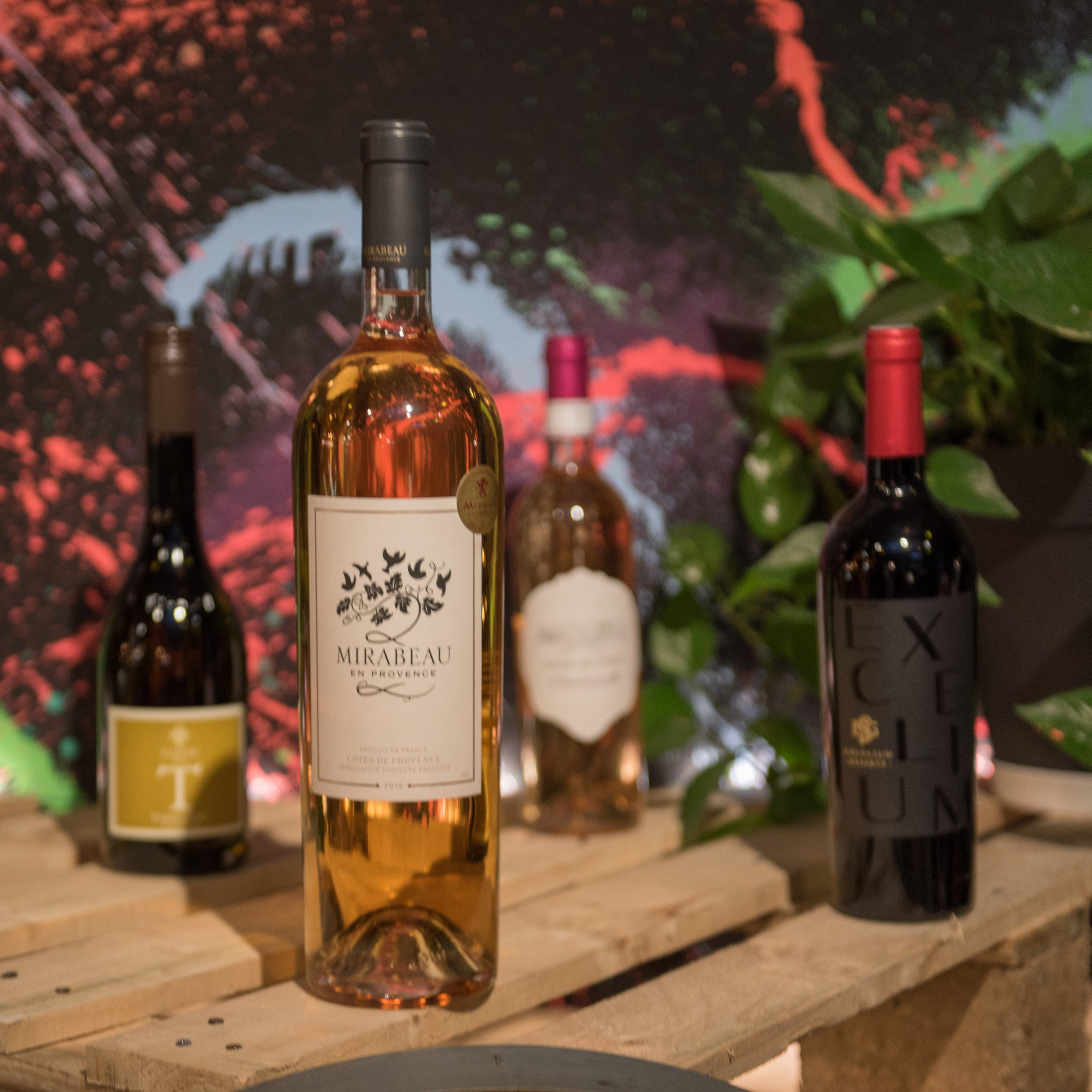 Праздники и репортажные съемки. Семейный фотограф Израиль. Фотокниги и школьные альбомы