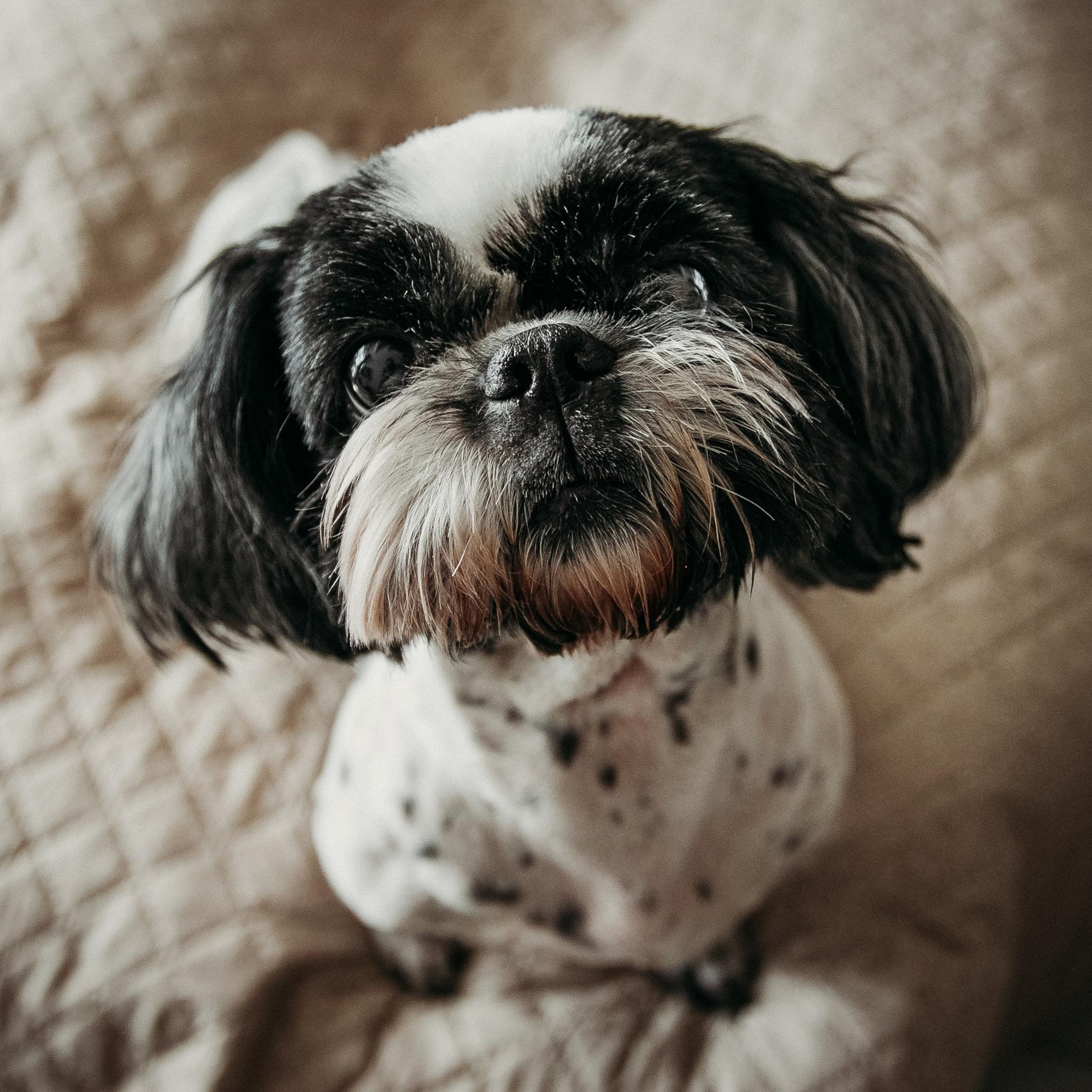 Отзывы. Фотограф в  г. Новосибирск