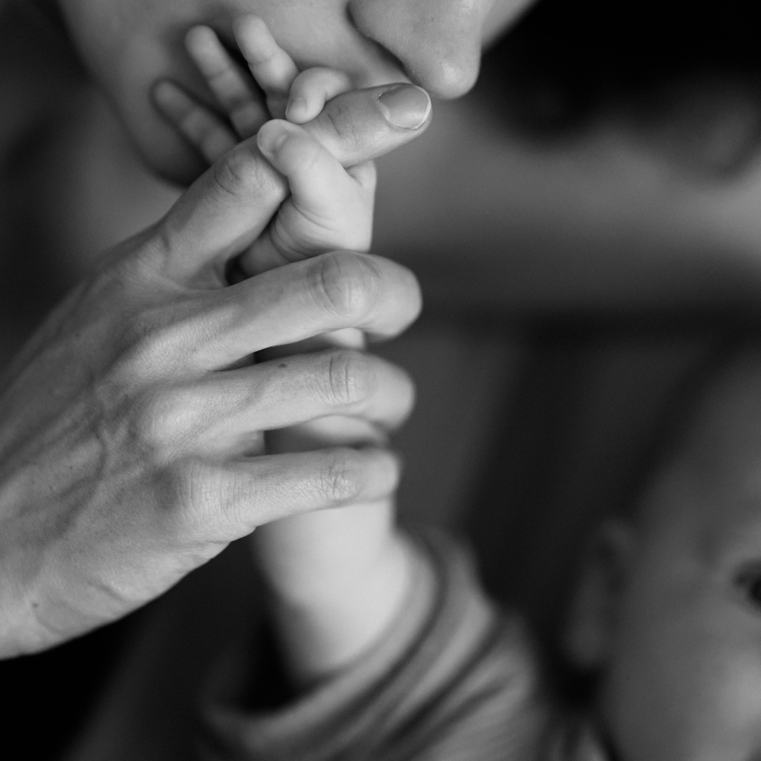 Нилла, Андрей и Фанни