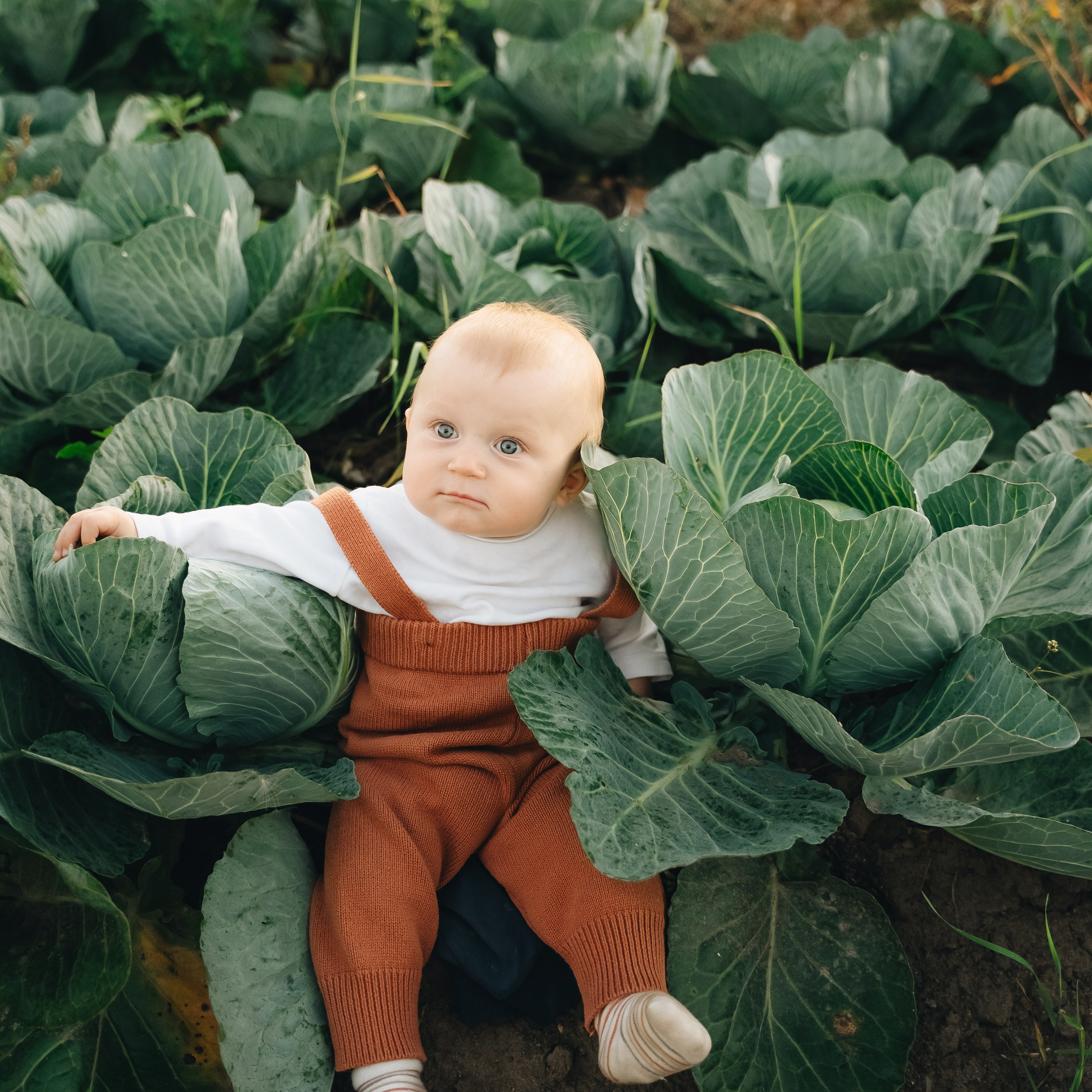 Фотограф Санкт-Петербург/Гомель Виктория Петрова
