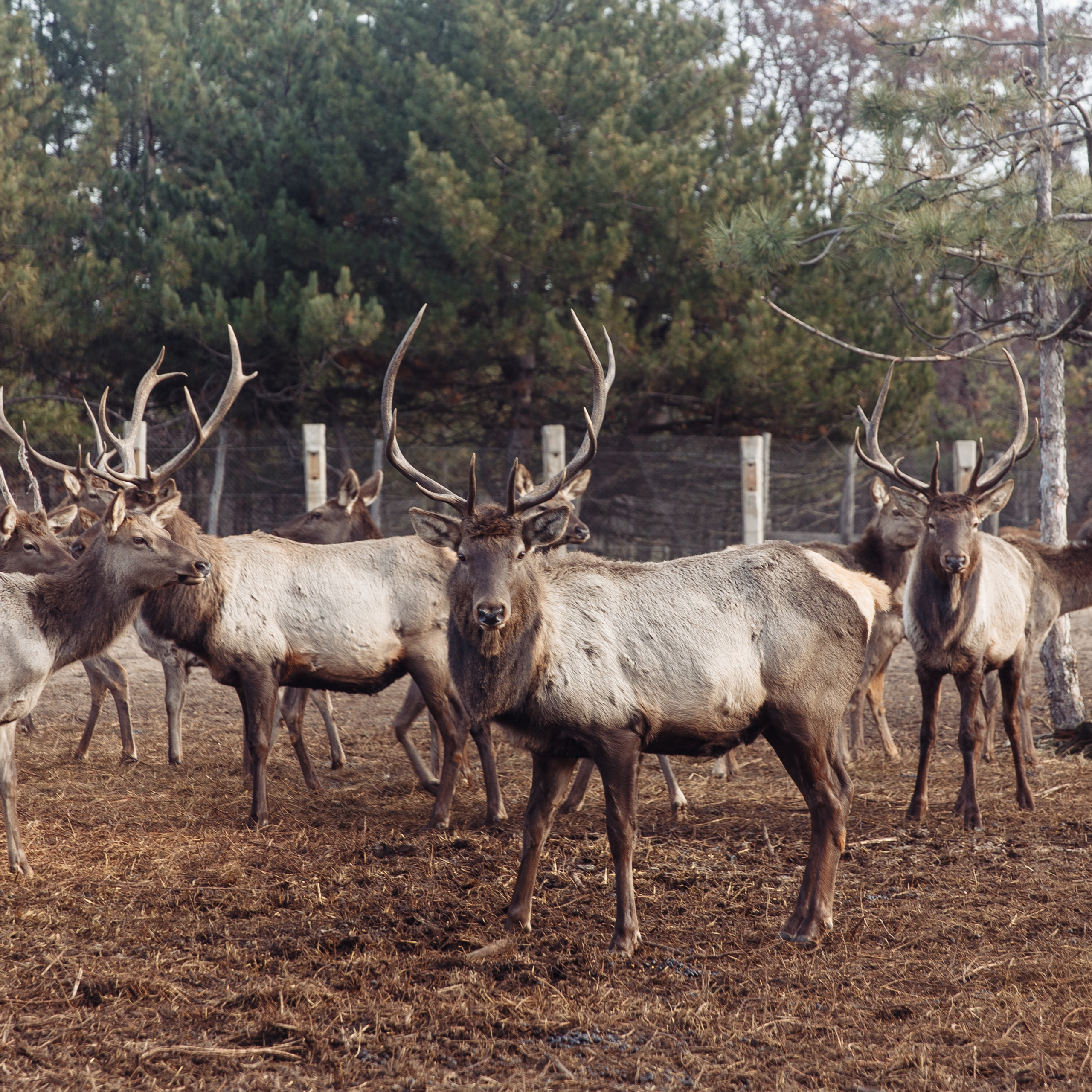 Отзывы. Фотограф Дмитрий Олейник в Волгодонске и Ростове