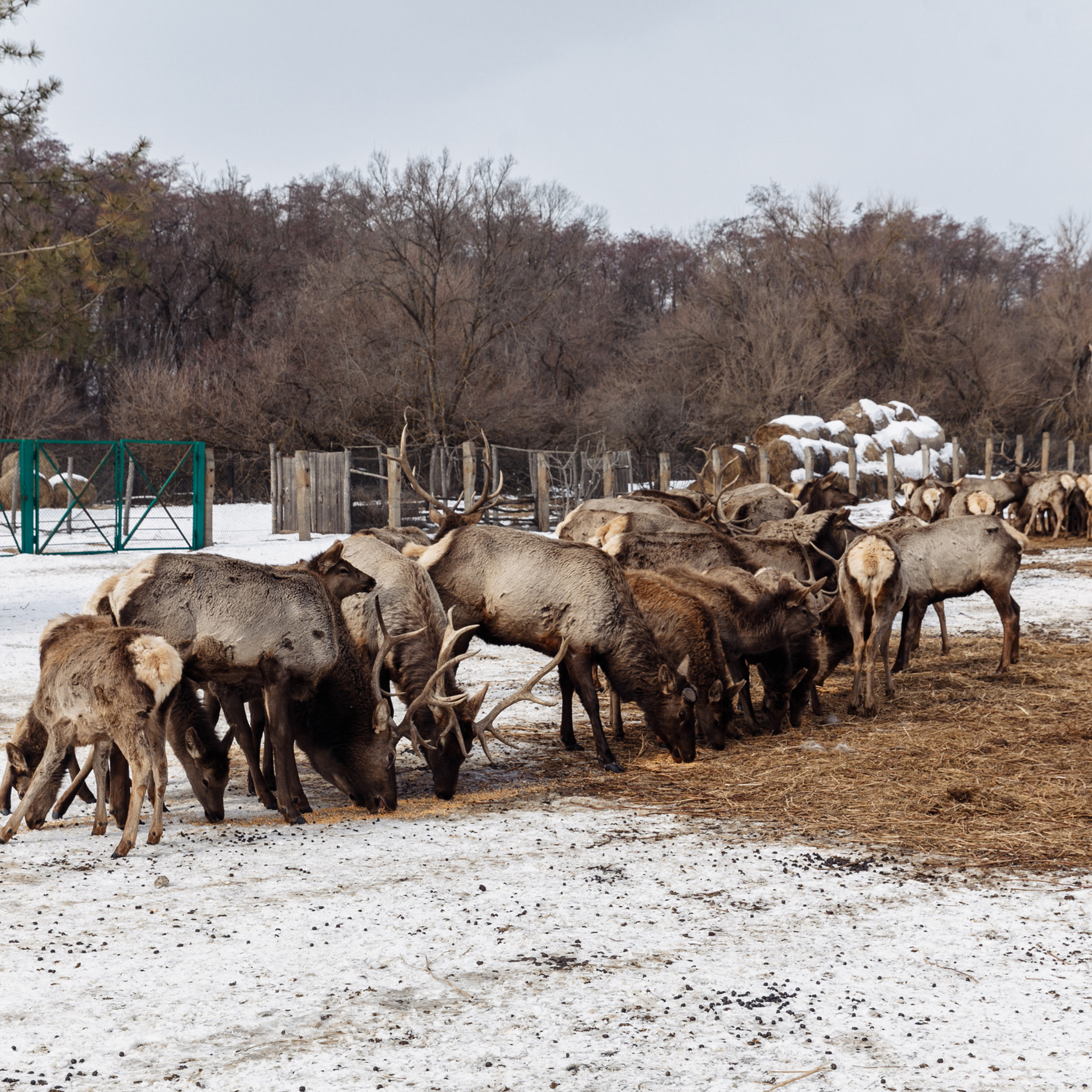 Отзывы. Фотограф Дмитрий Олейник в Волгодонске и Ростове