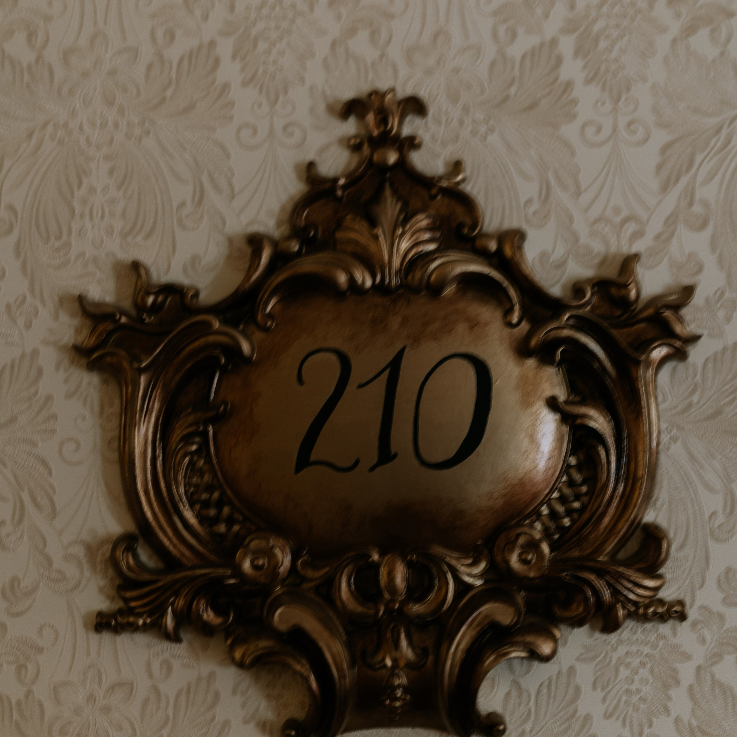 Дмитрий и Катюша