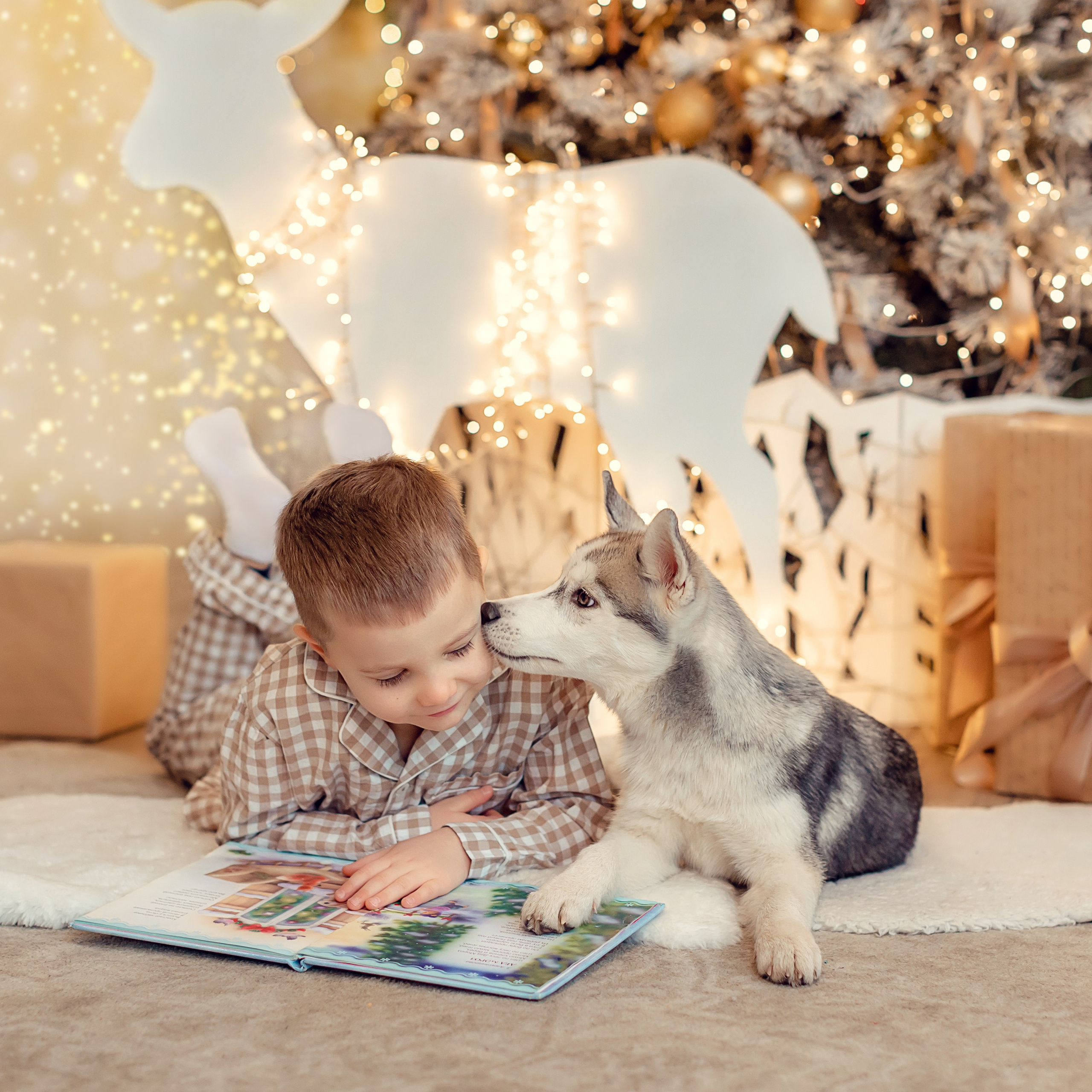 Отзывы. Семейный, детский фотограф в Москве, Подмосковье