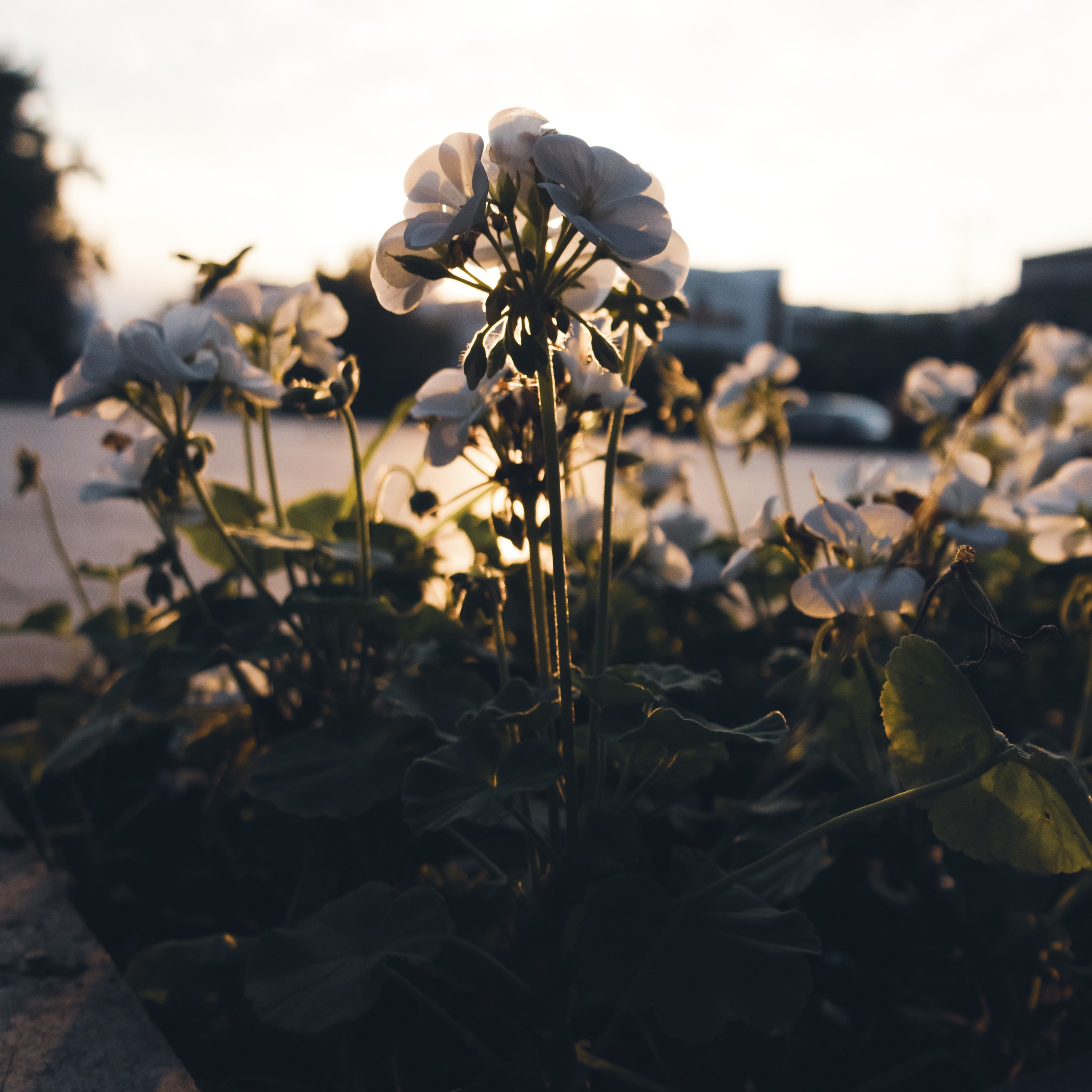 Екатеринбург