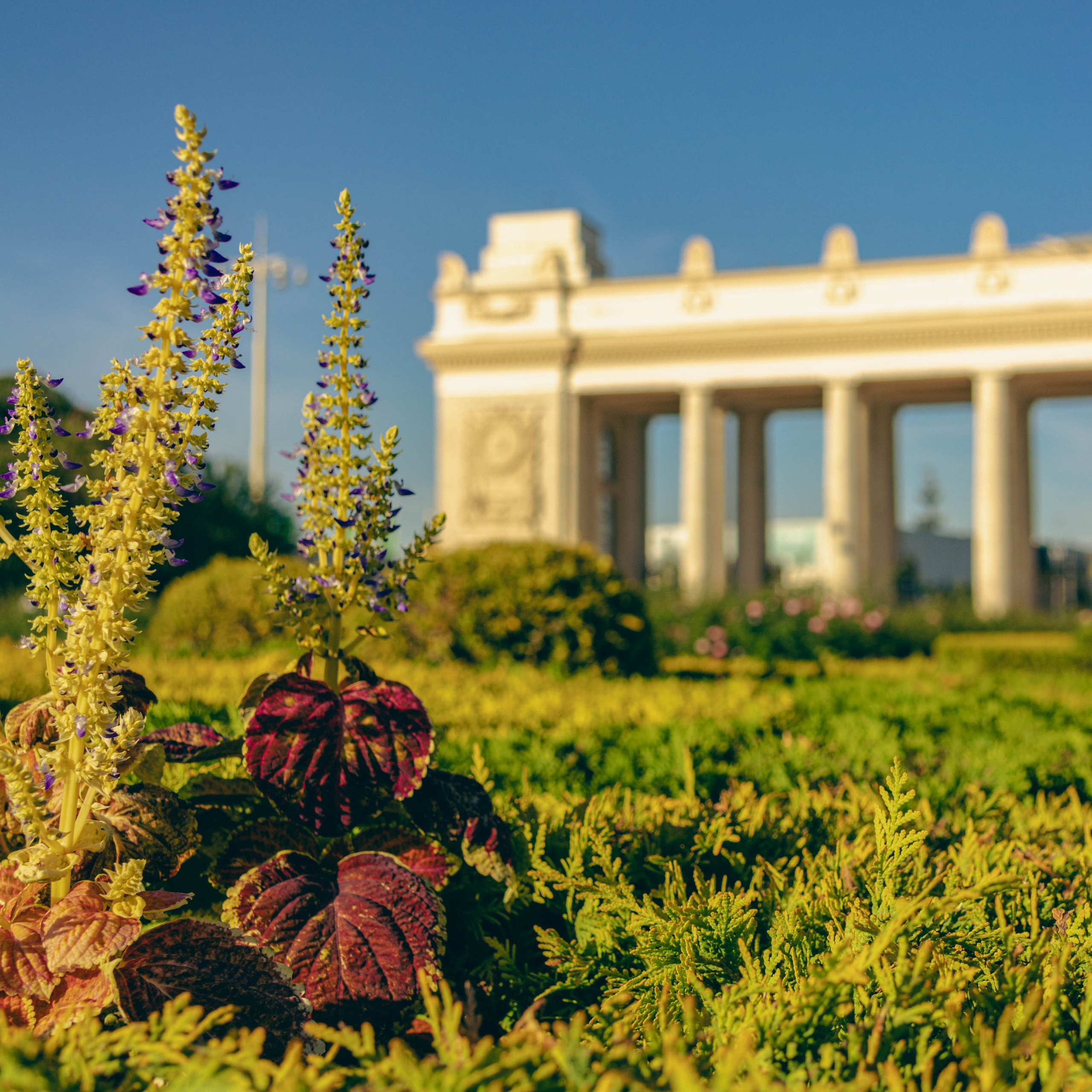 Парк Горького. Jean De Vivre Gallery