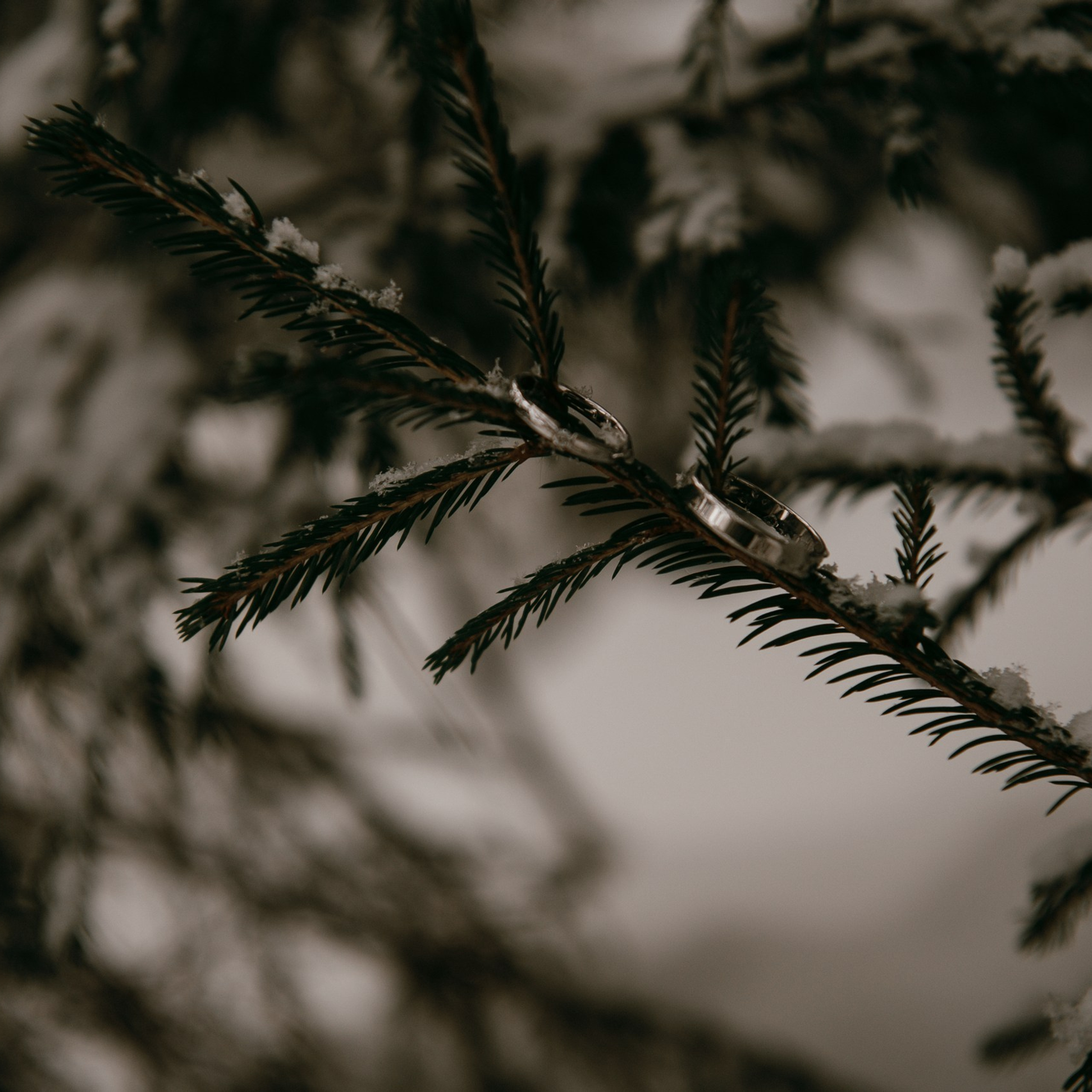 Отзывы. Свадебный и Семейный фотограф Пермь Краснокамск Дарья Малькова