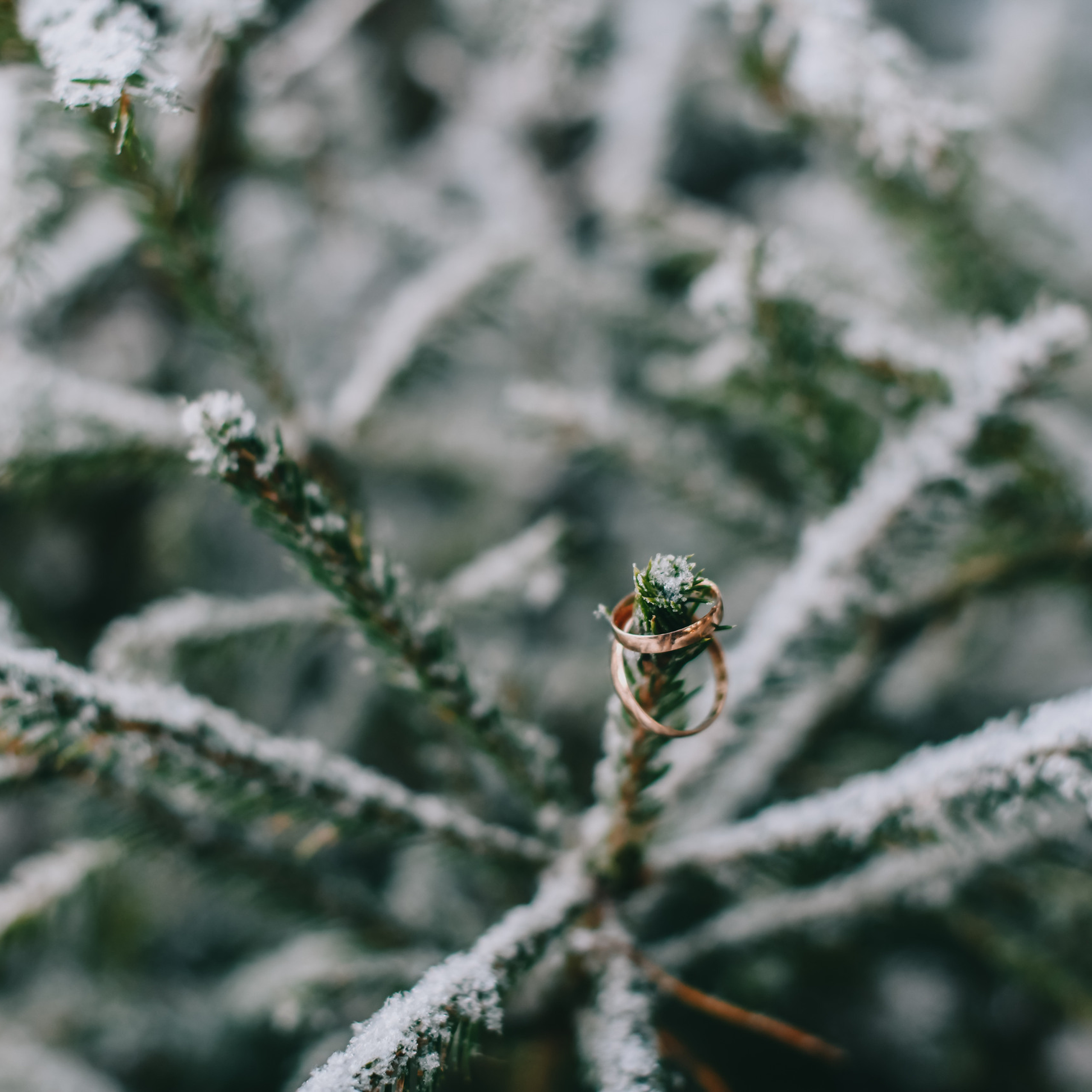 Отзывы. Свадебный и Семейный фотограф Пермь Краснокамск Дарья Малькова