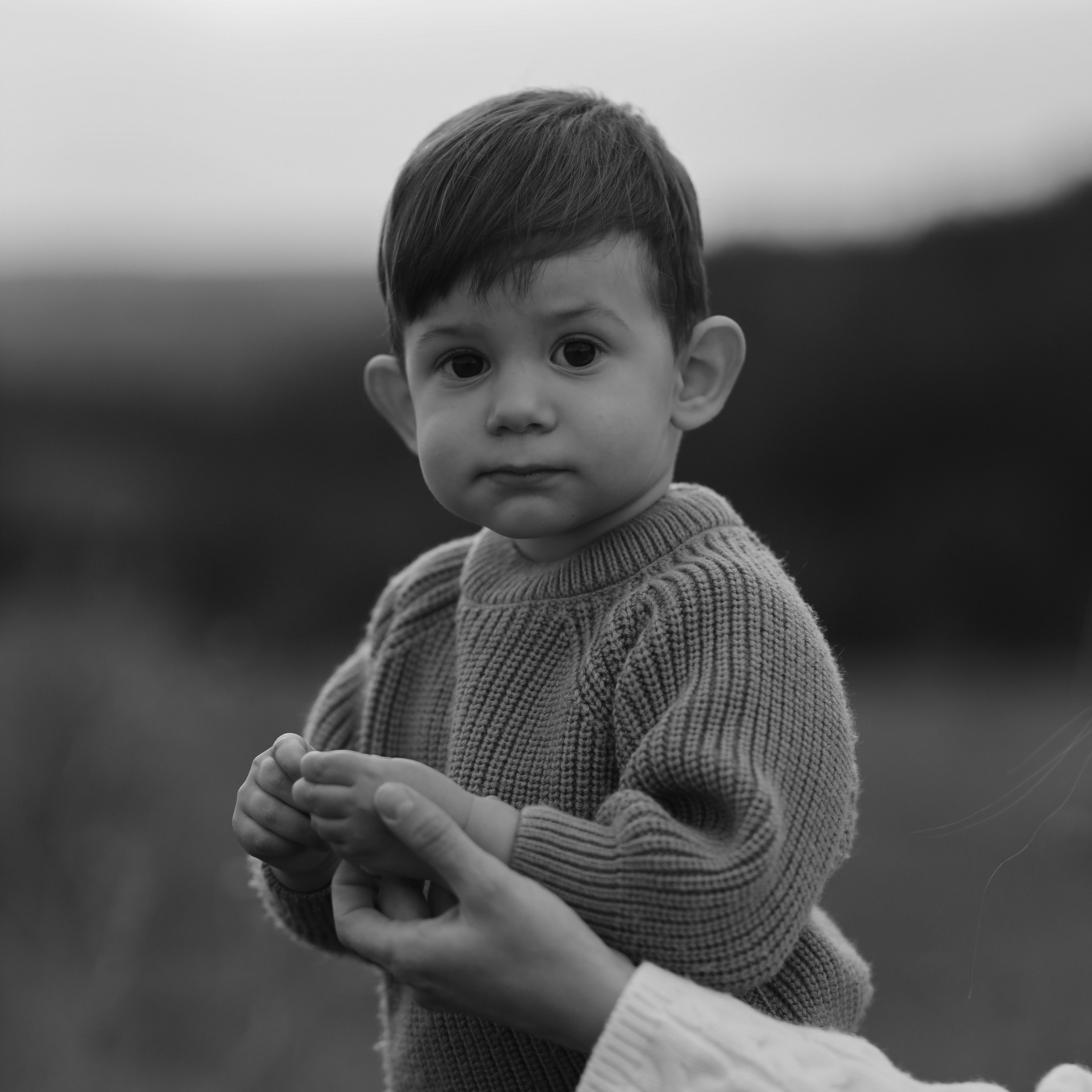 Альвина Андрей и Кирюша