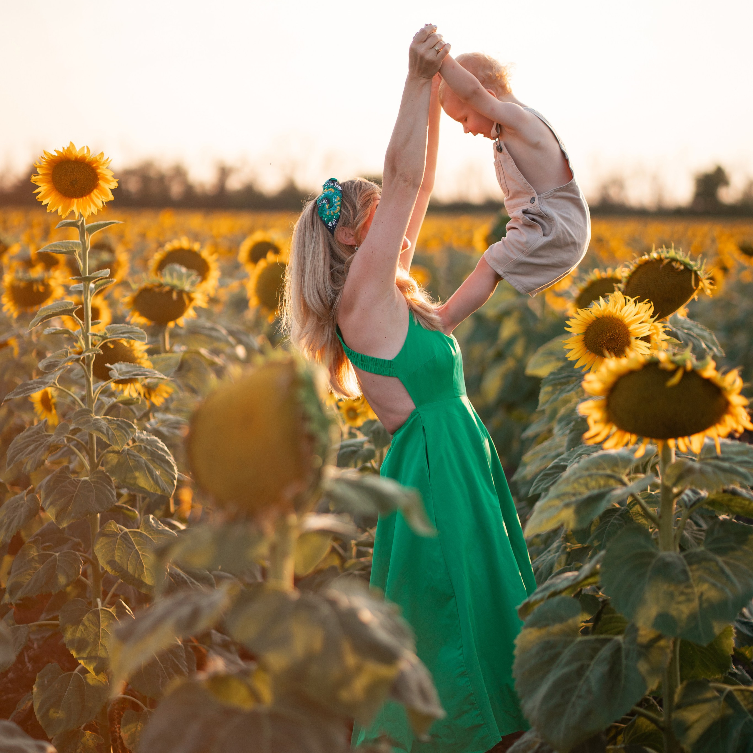 Подсолнухи