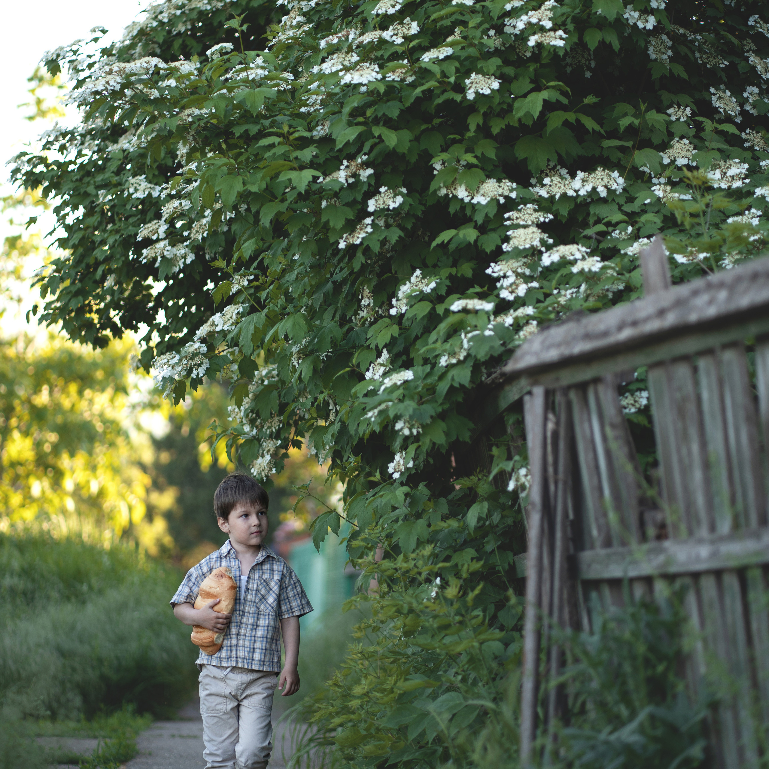 Хлебная история