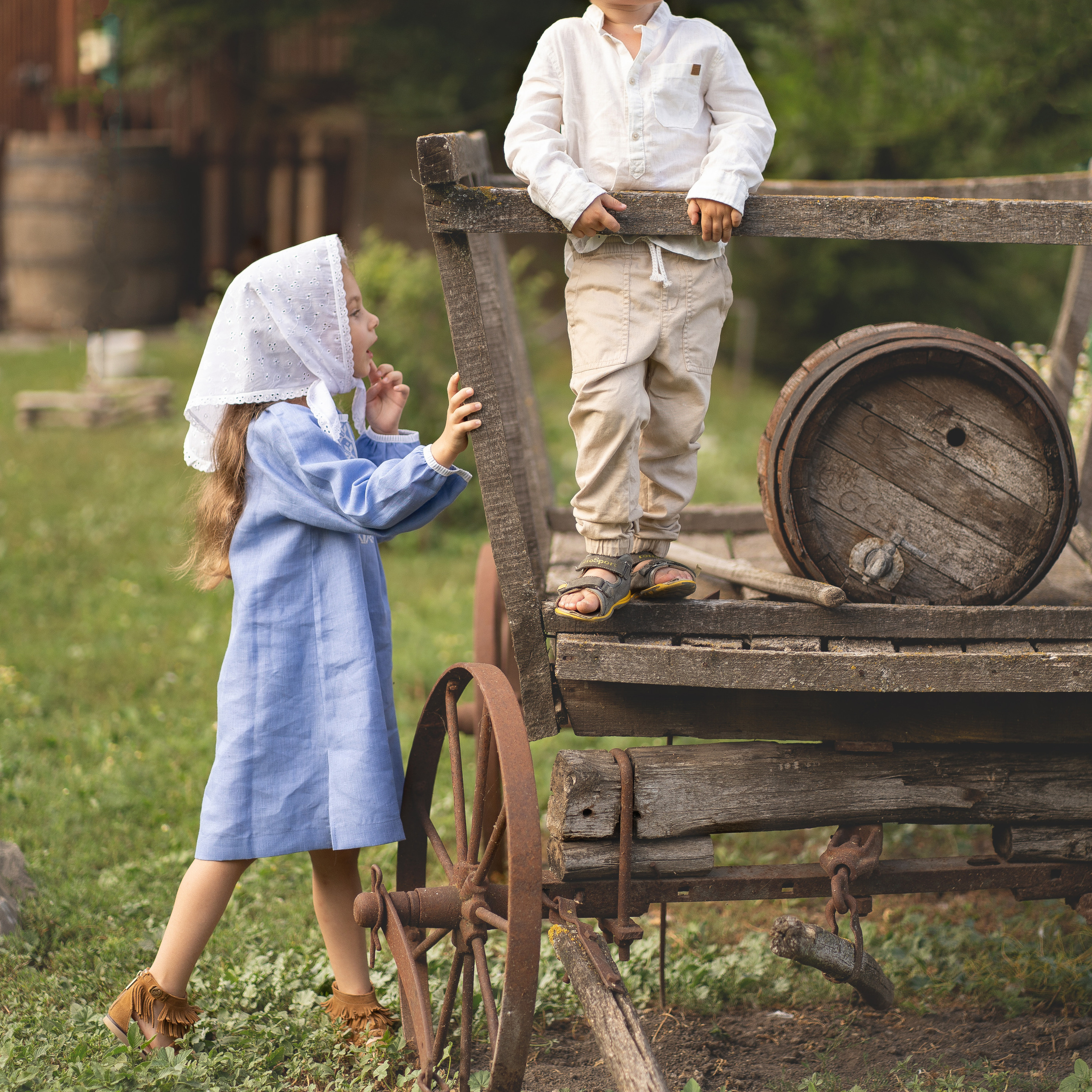 Деревенские будни