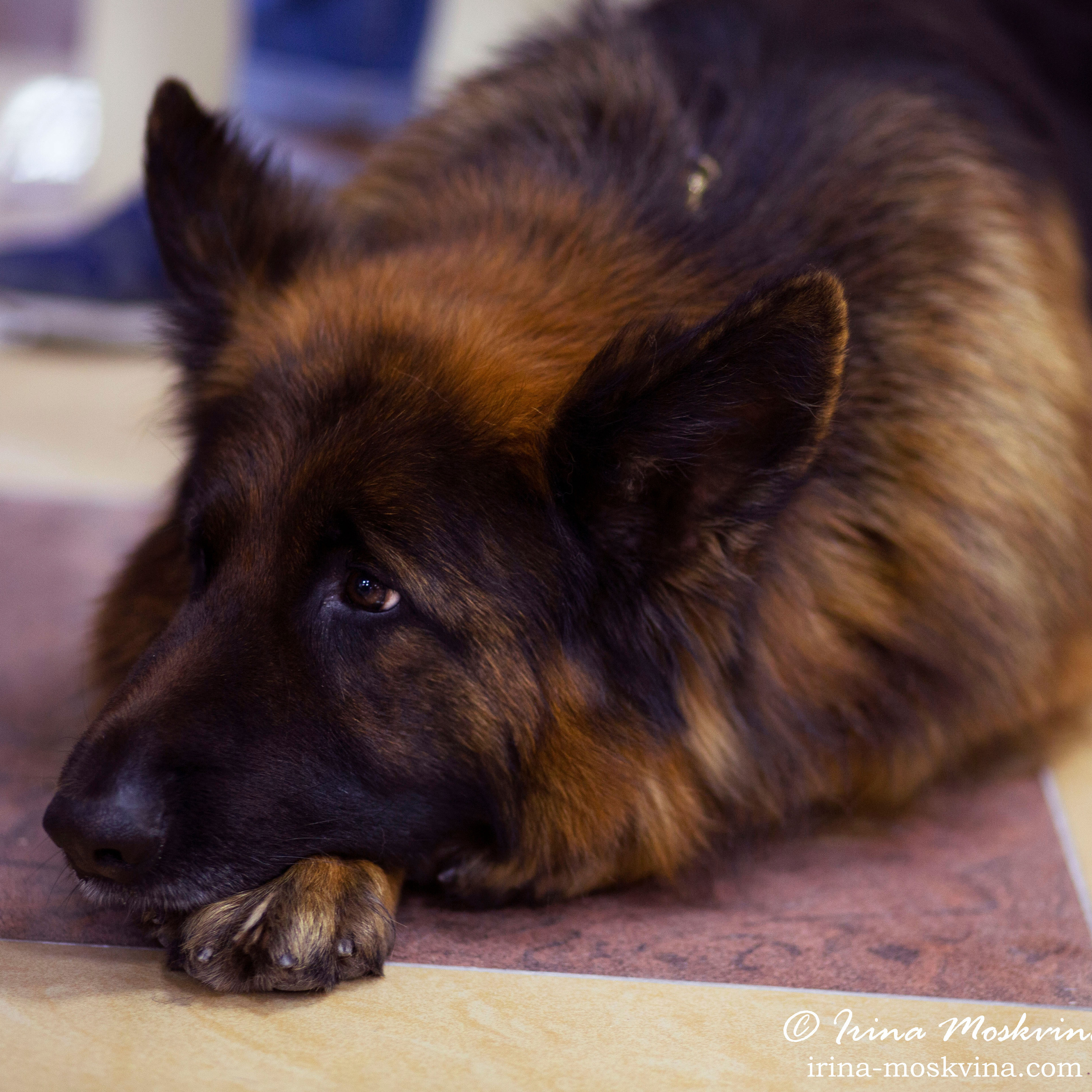 Белгород | САСIB | 03.04.21