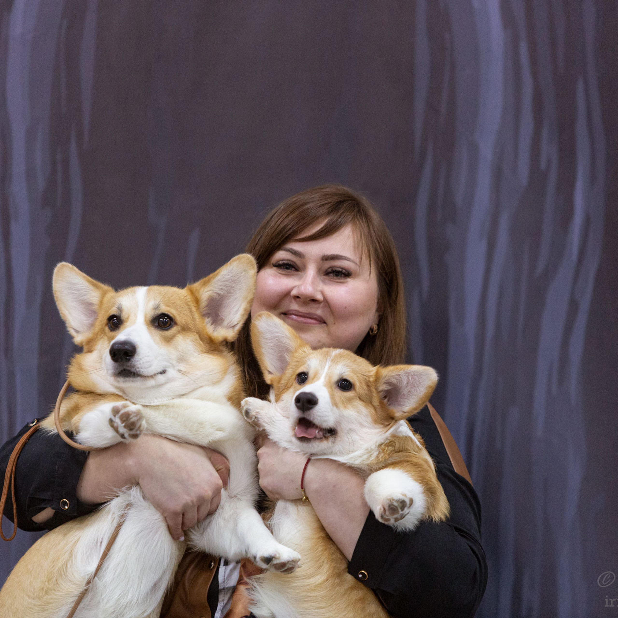 Белгород | САС | 25.12.21