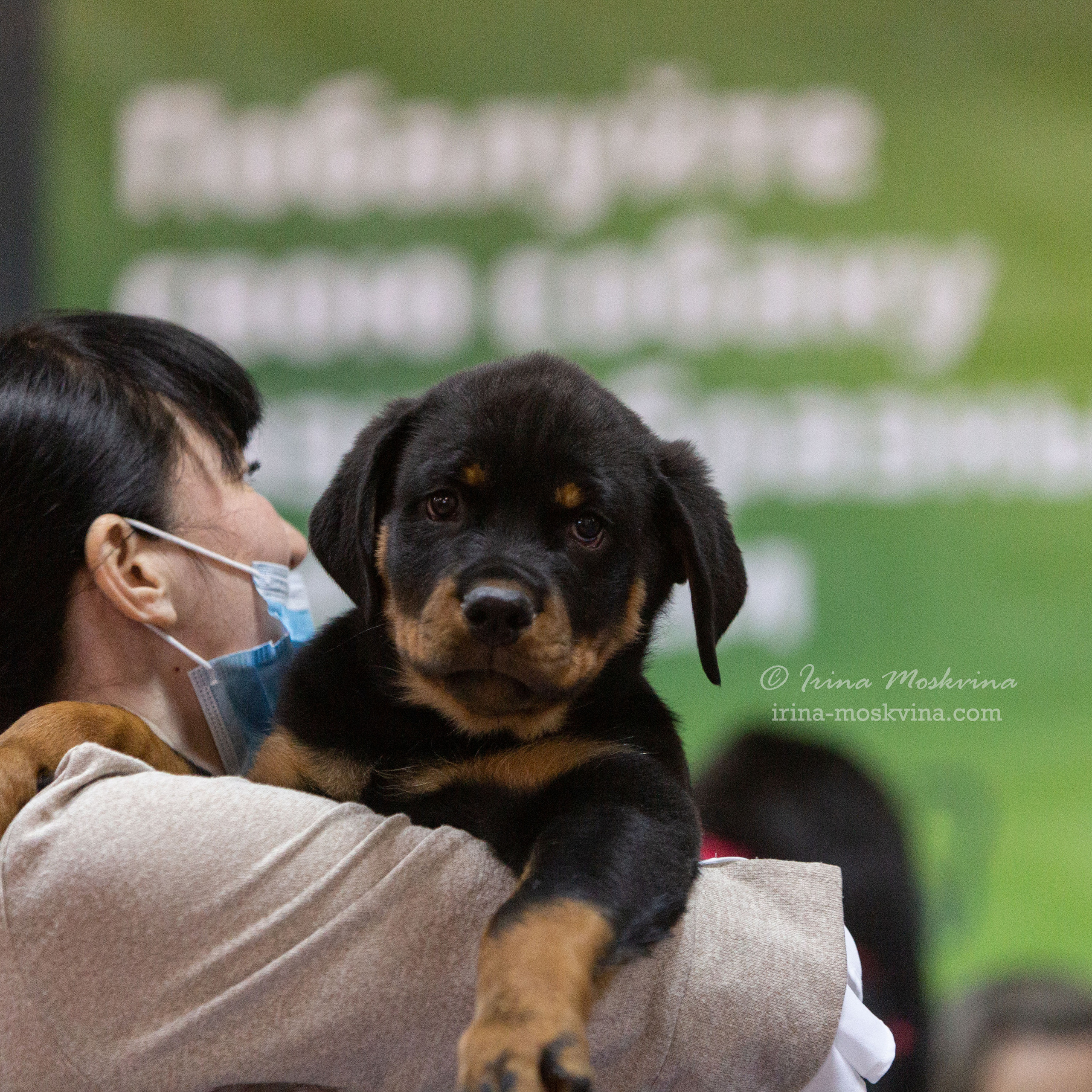Белгород | САС | 29.01.22