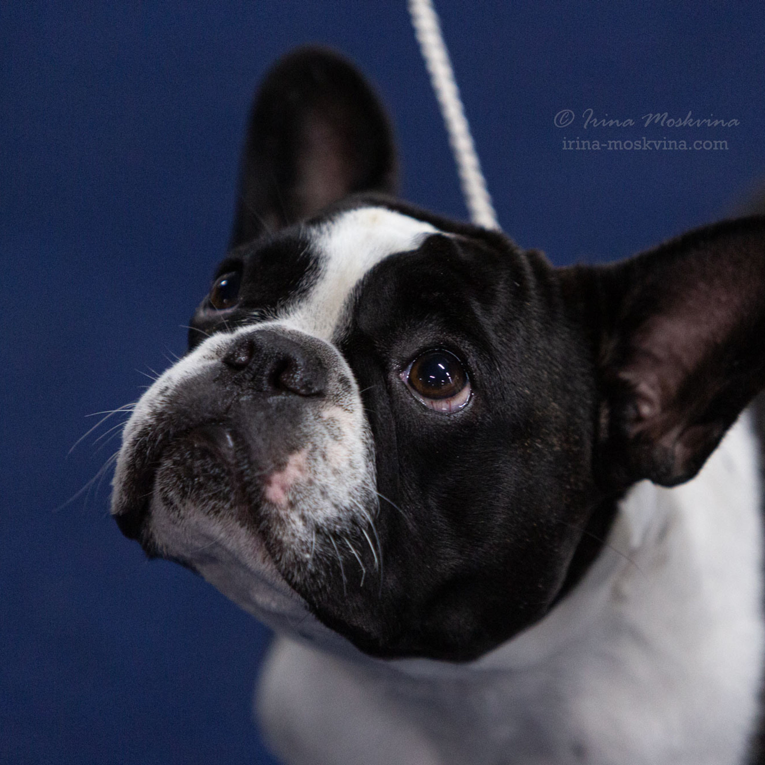 Москва, ВЦ «Сфера» | САС | 02.07.23