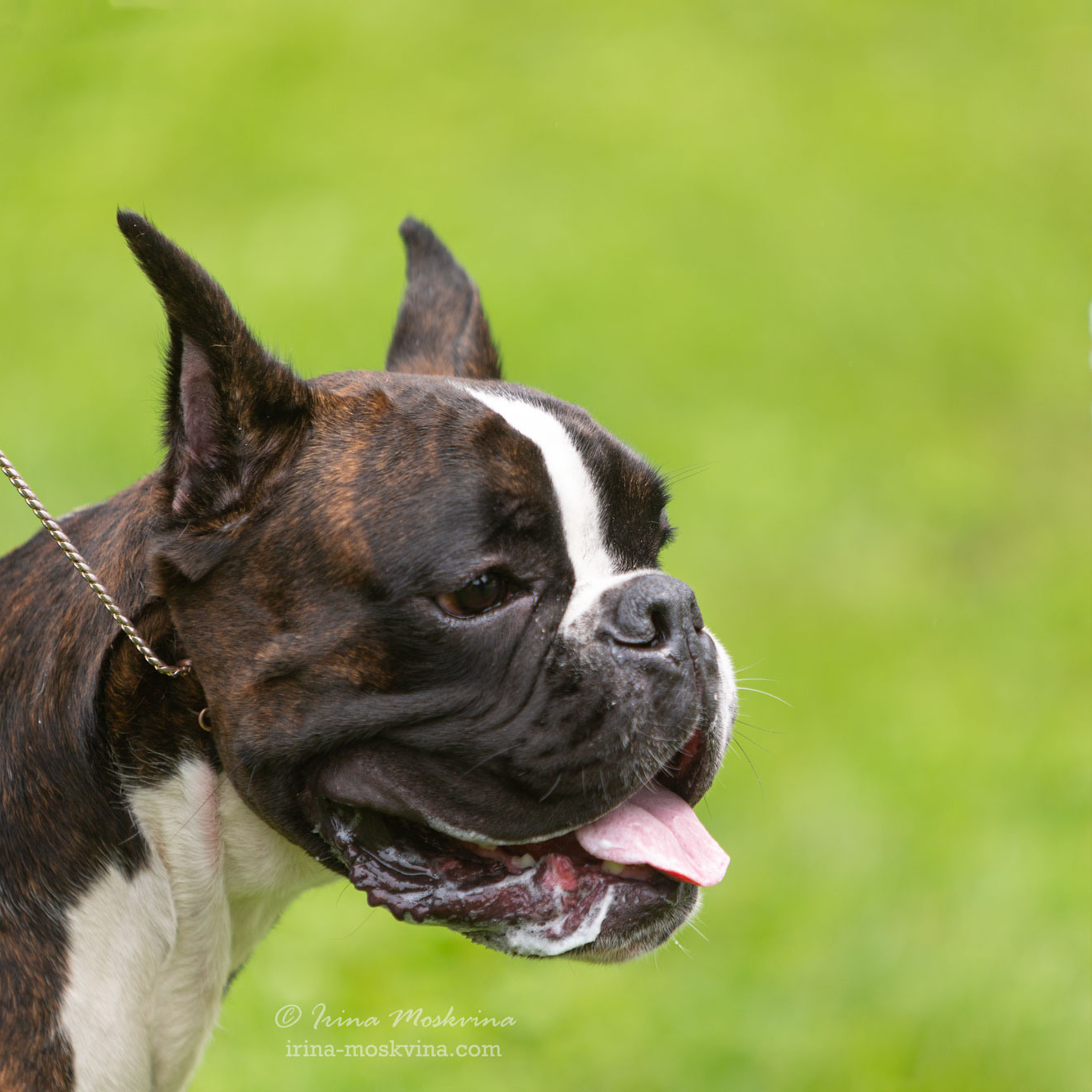 Москва, Сокольники | САС | 15.07.23