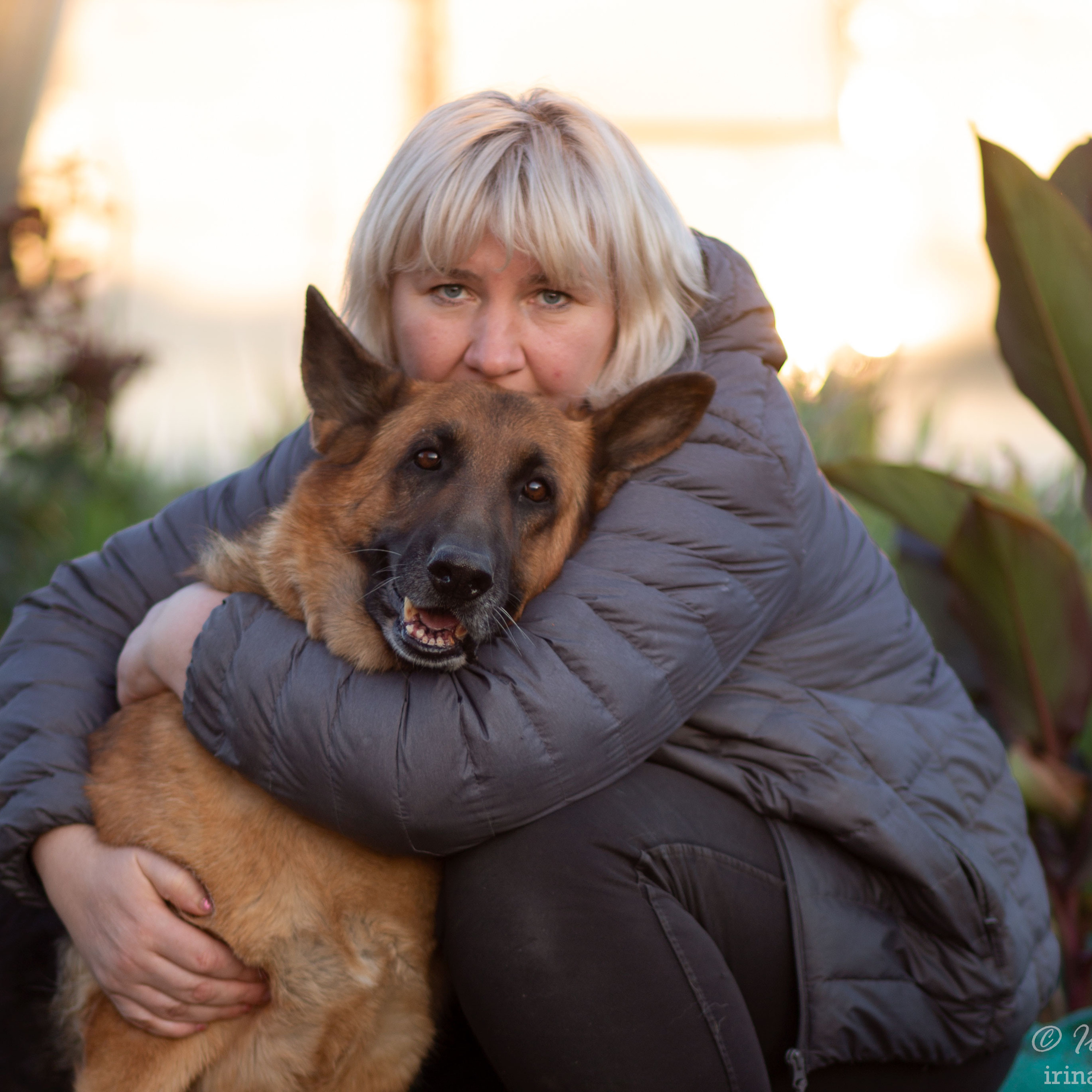 Питомник «Black Axford» | Старый Оскол