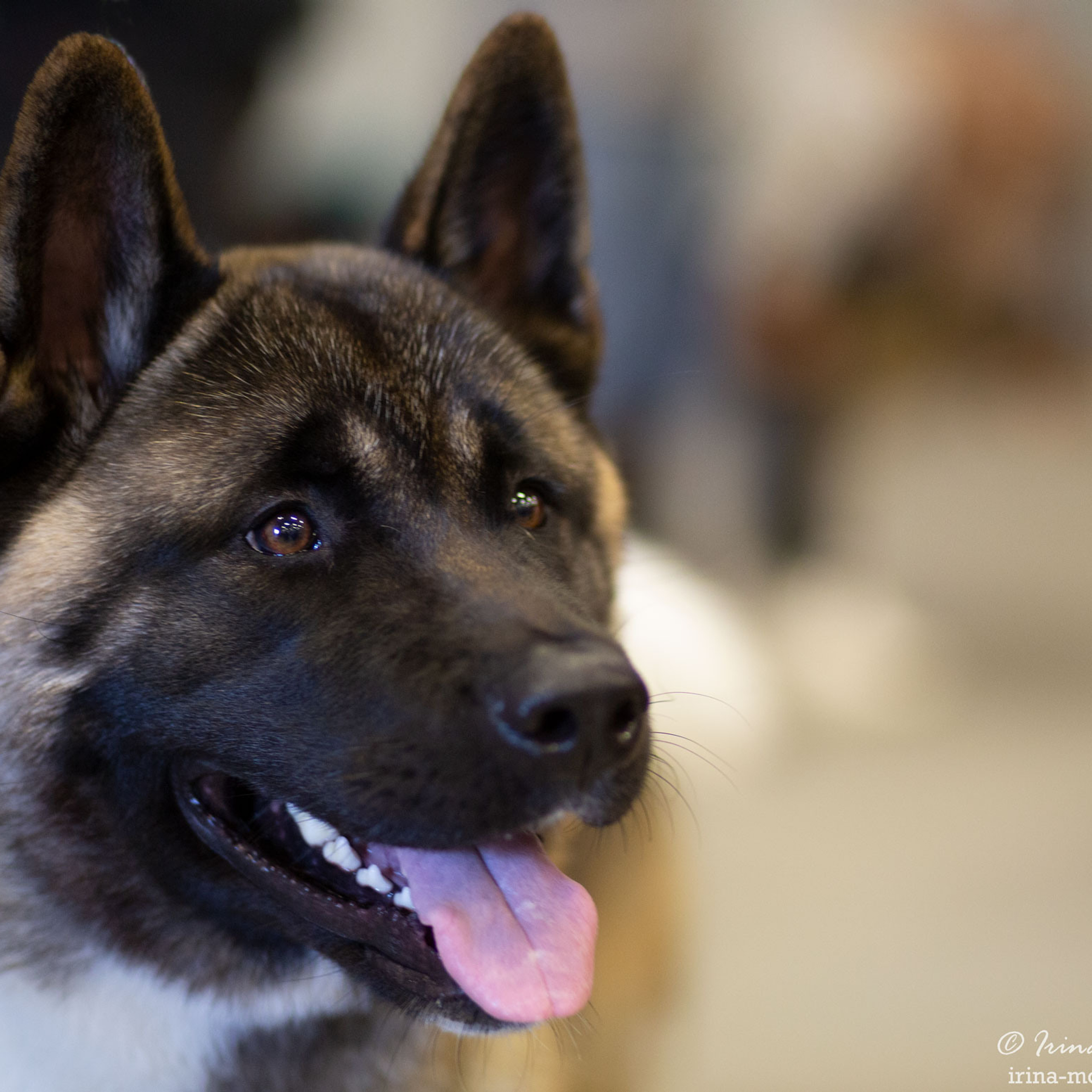 Старый Оскол | САС | 05.09.21