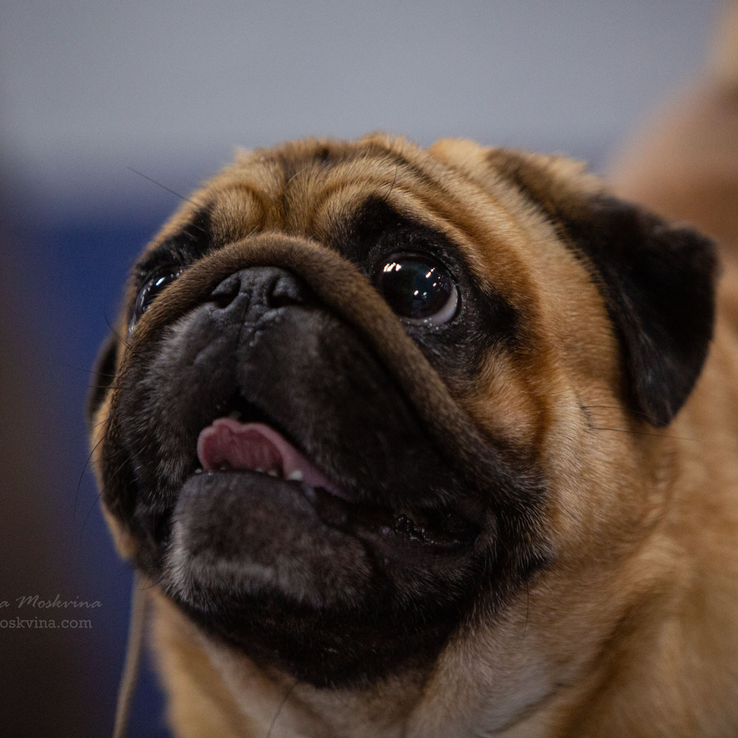 Москва, ВЦ «Сфера» | САС | 22.07.23