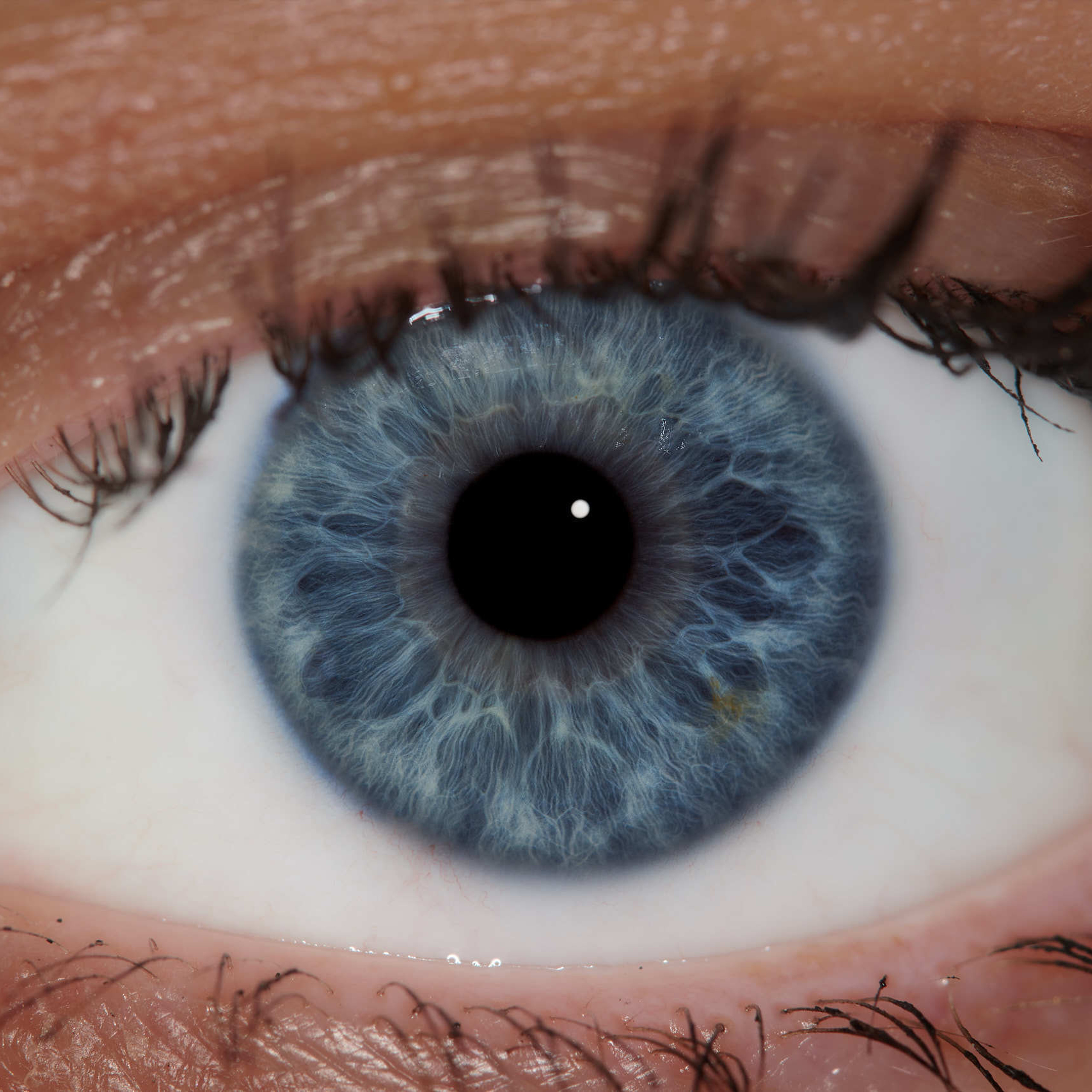 Без названия