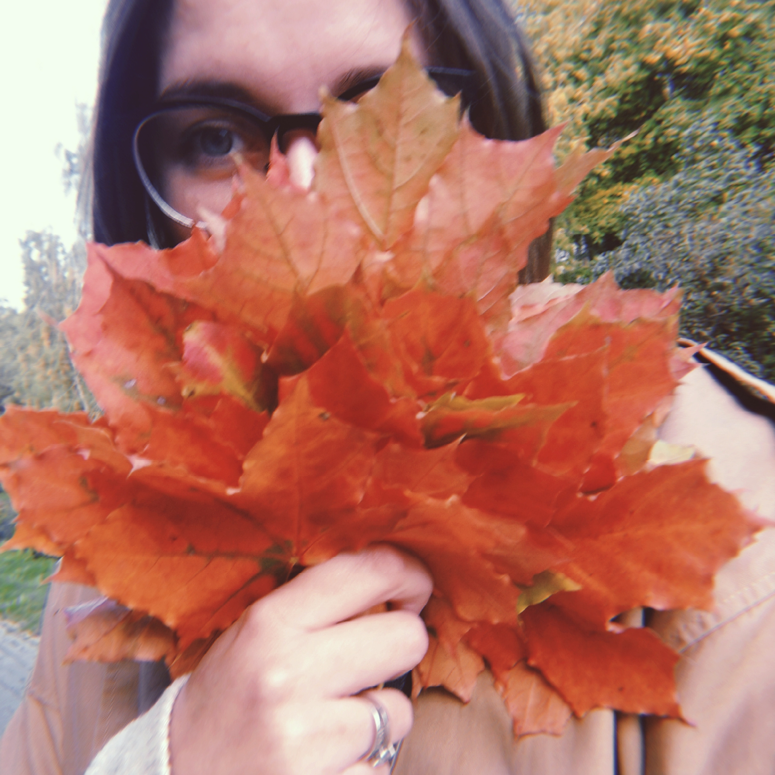 Отзывы. Фотограф Москва. Киселева Елизавета