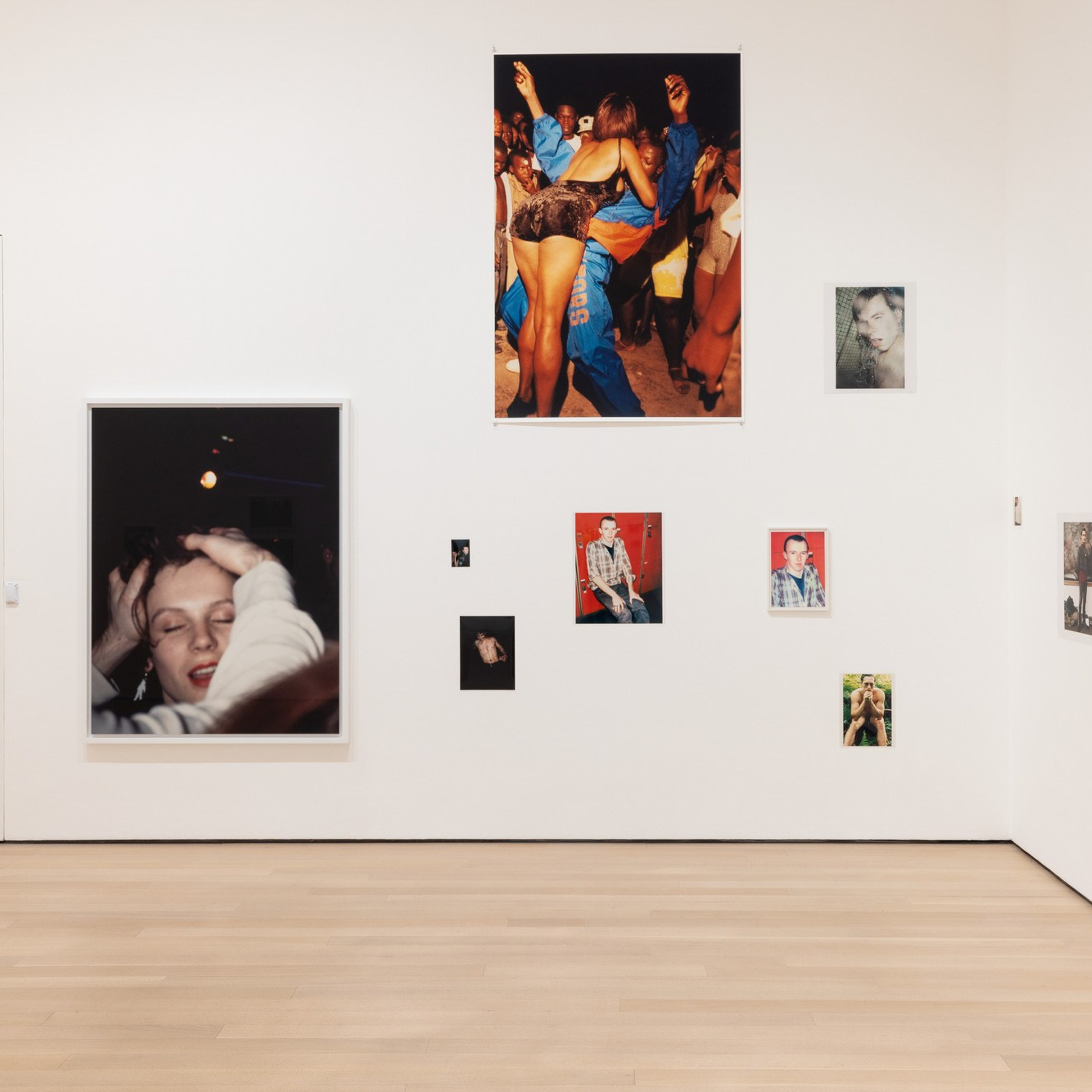 Блог. Самоорганизация Низина