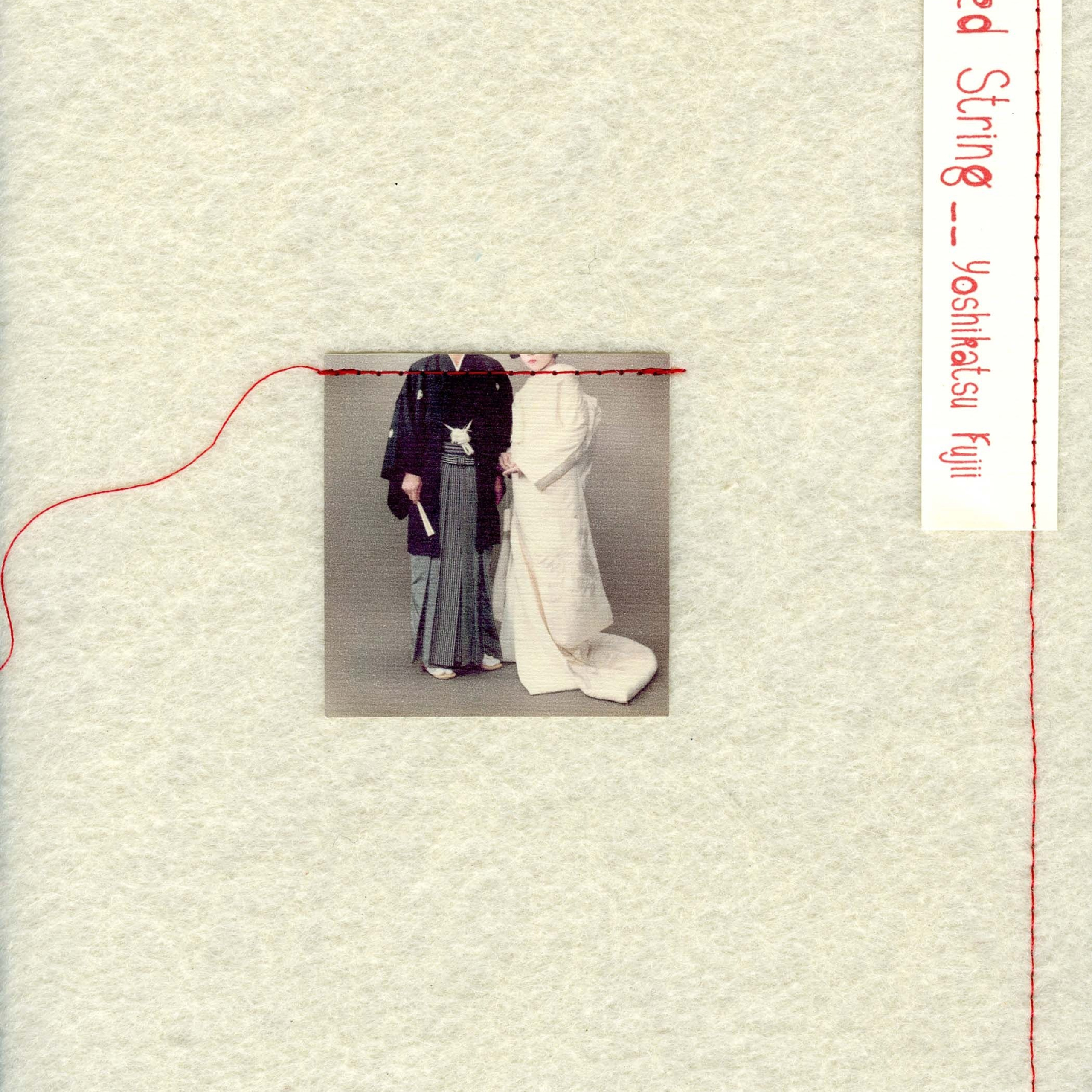 ПОПУЛЯРНЫЕ ОШИБКИ ПРИ СОЗДАНИИ ФОТОКНИГИ: Часть первая — про форму. Самоорганизация Низина