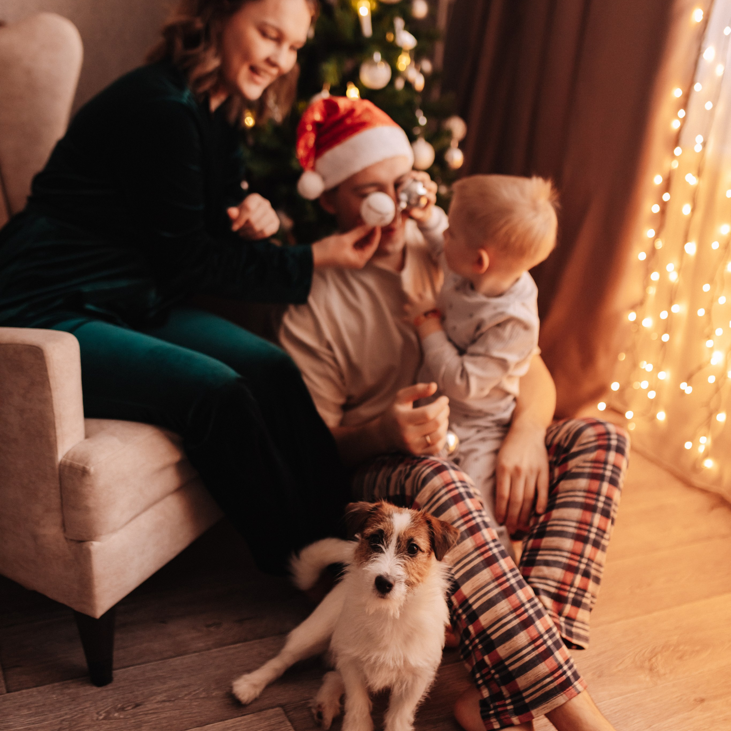 Новогоднее настроение Миши с родителями и Оскаром