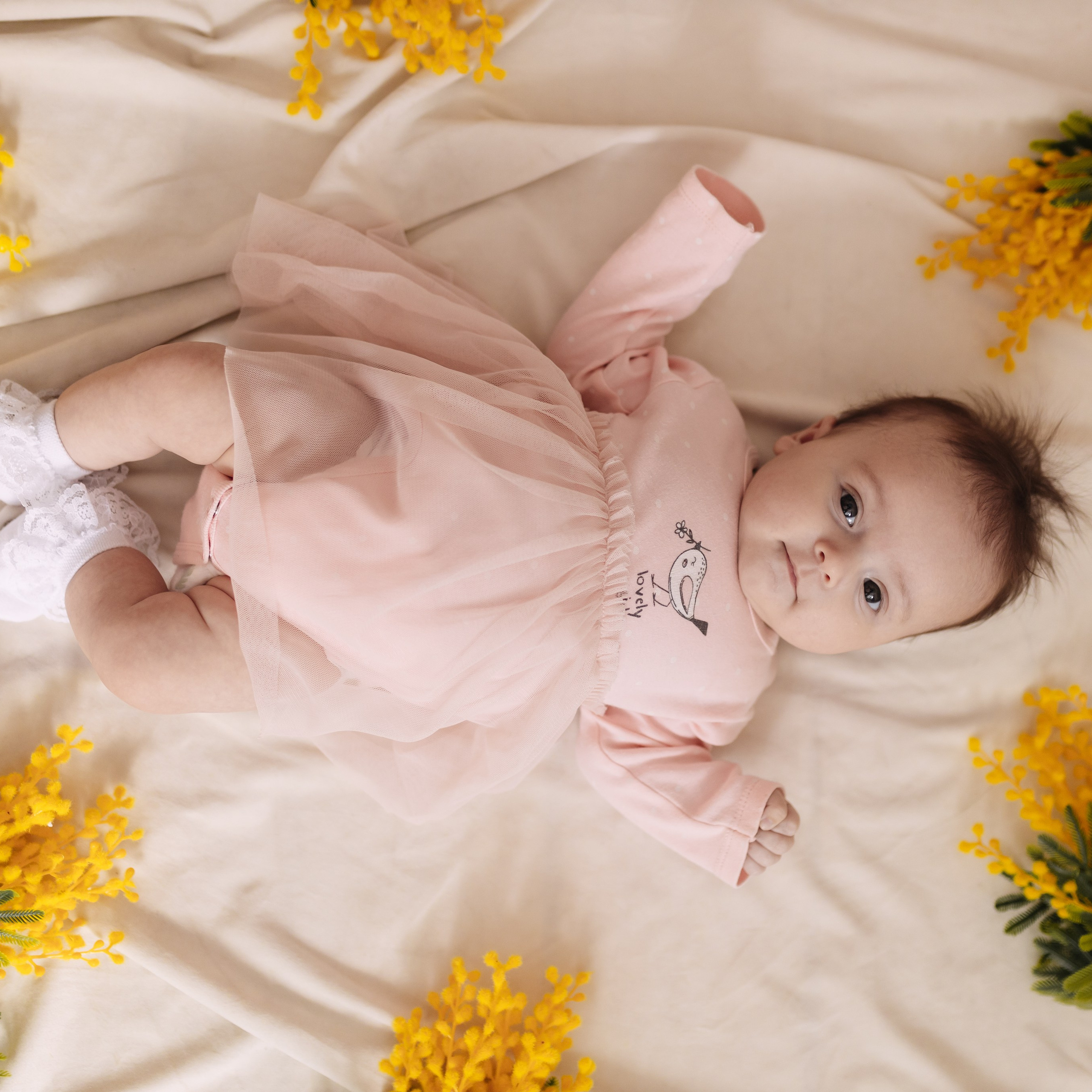 Отзывы. Семейный фотограф Альбина Крутелева, Екатеринбург, Ревда