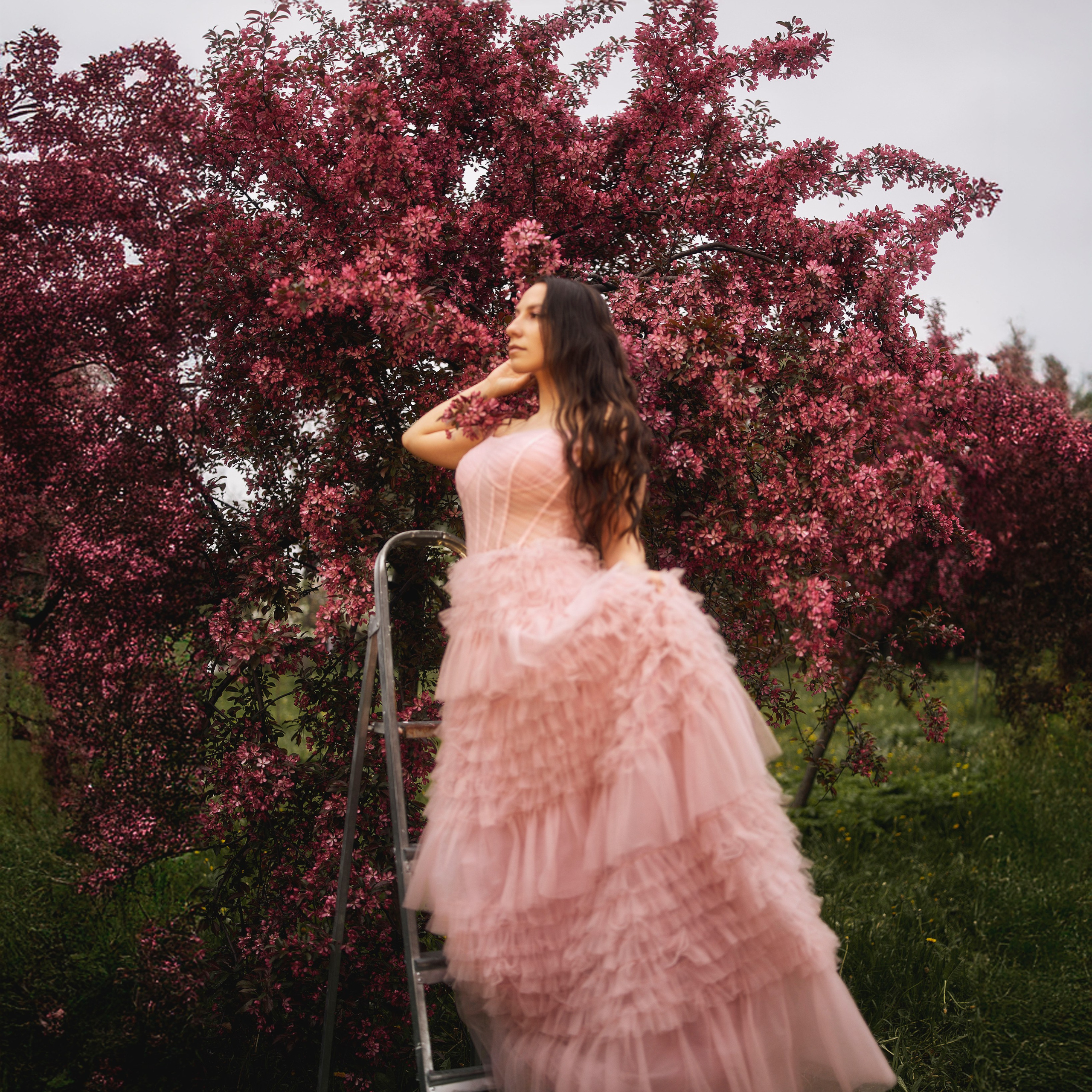 Яблоневый сад (парк культуры и отдыха. м.Международная)