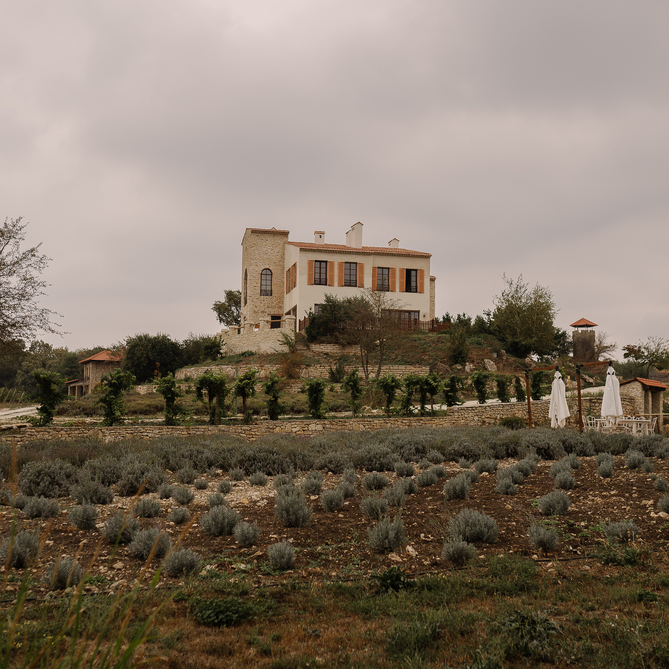 Отзывы. Семейный и детский фотограф в Краснодаре