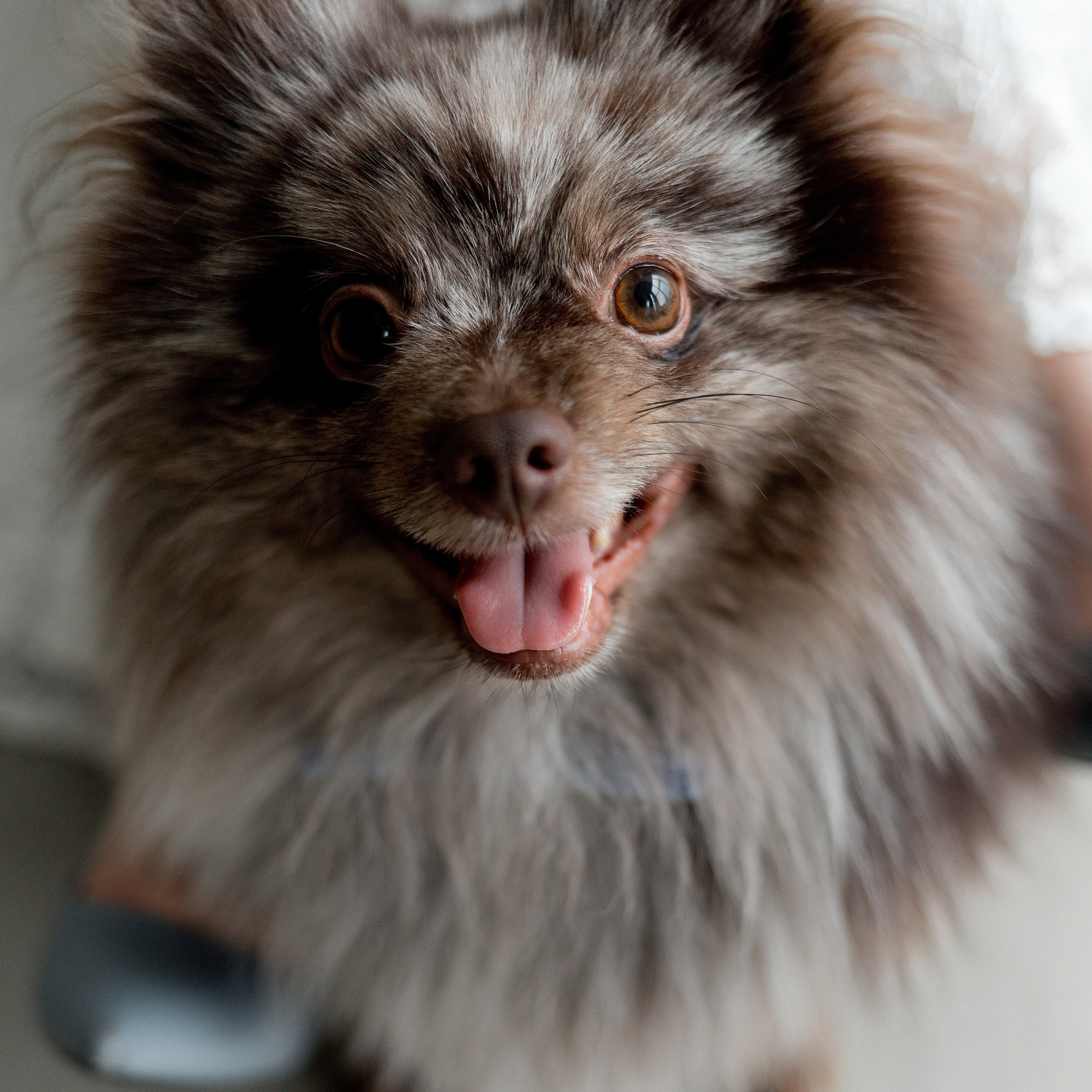 Отзывы. Свадебный фотограф в Пскове и Санкт-Петербурге | Анна Голикова