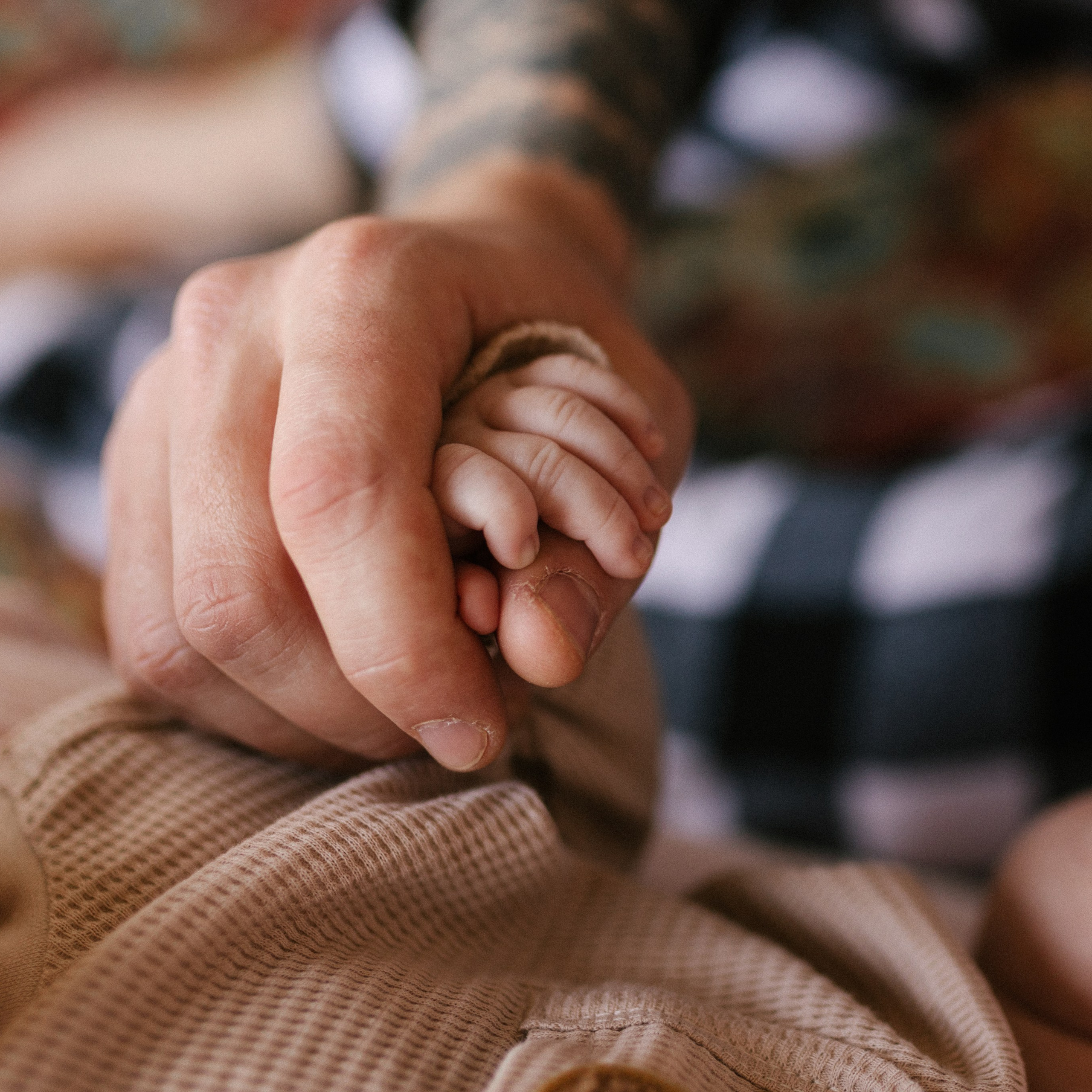 Здравствуй, сын