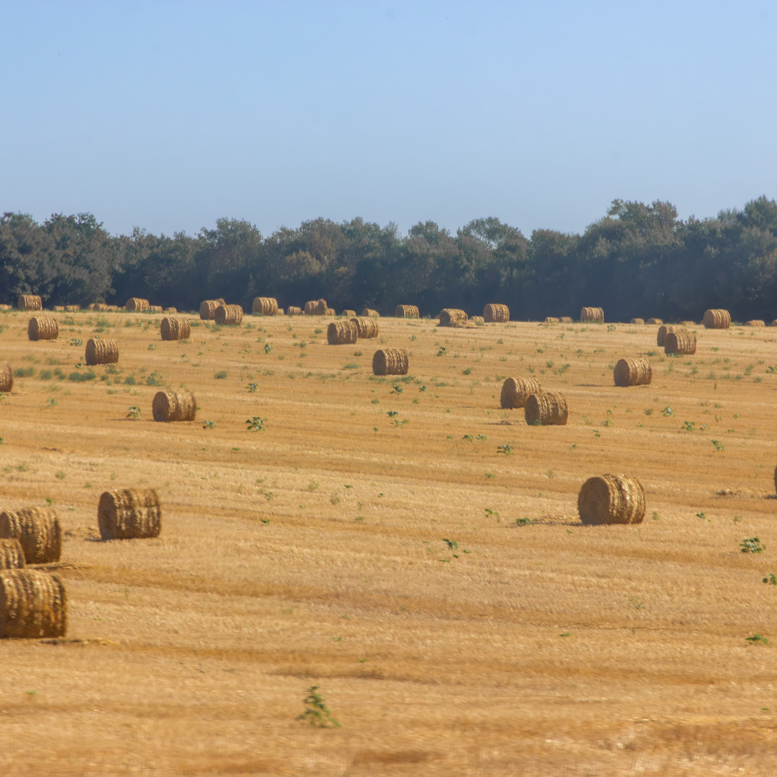 Отзывы. Семейный и детский фотограф в Краснодаре Ирина Лаврецкая