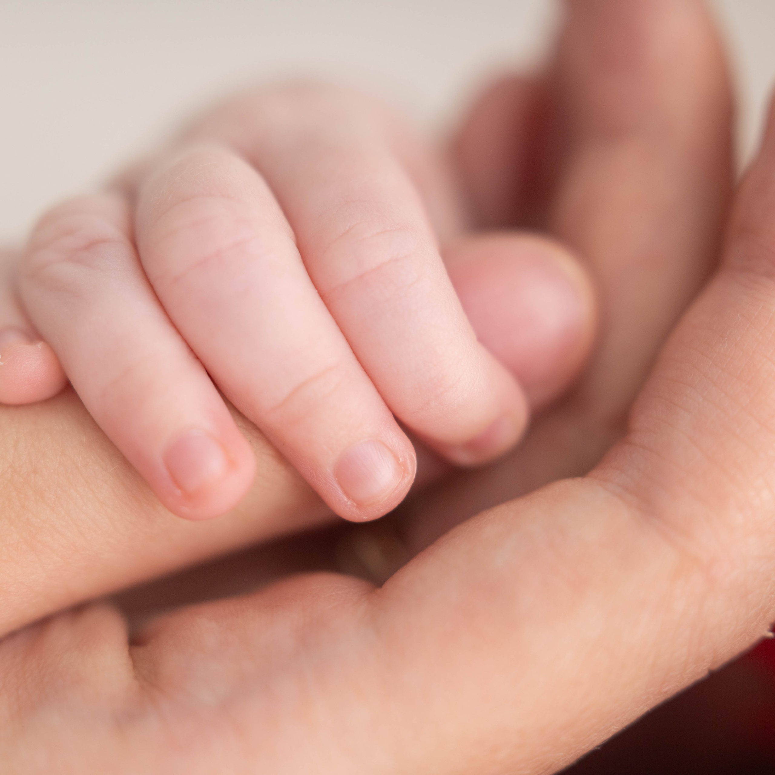 Отзывы. Фотограф новорожденных Новосибирск