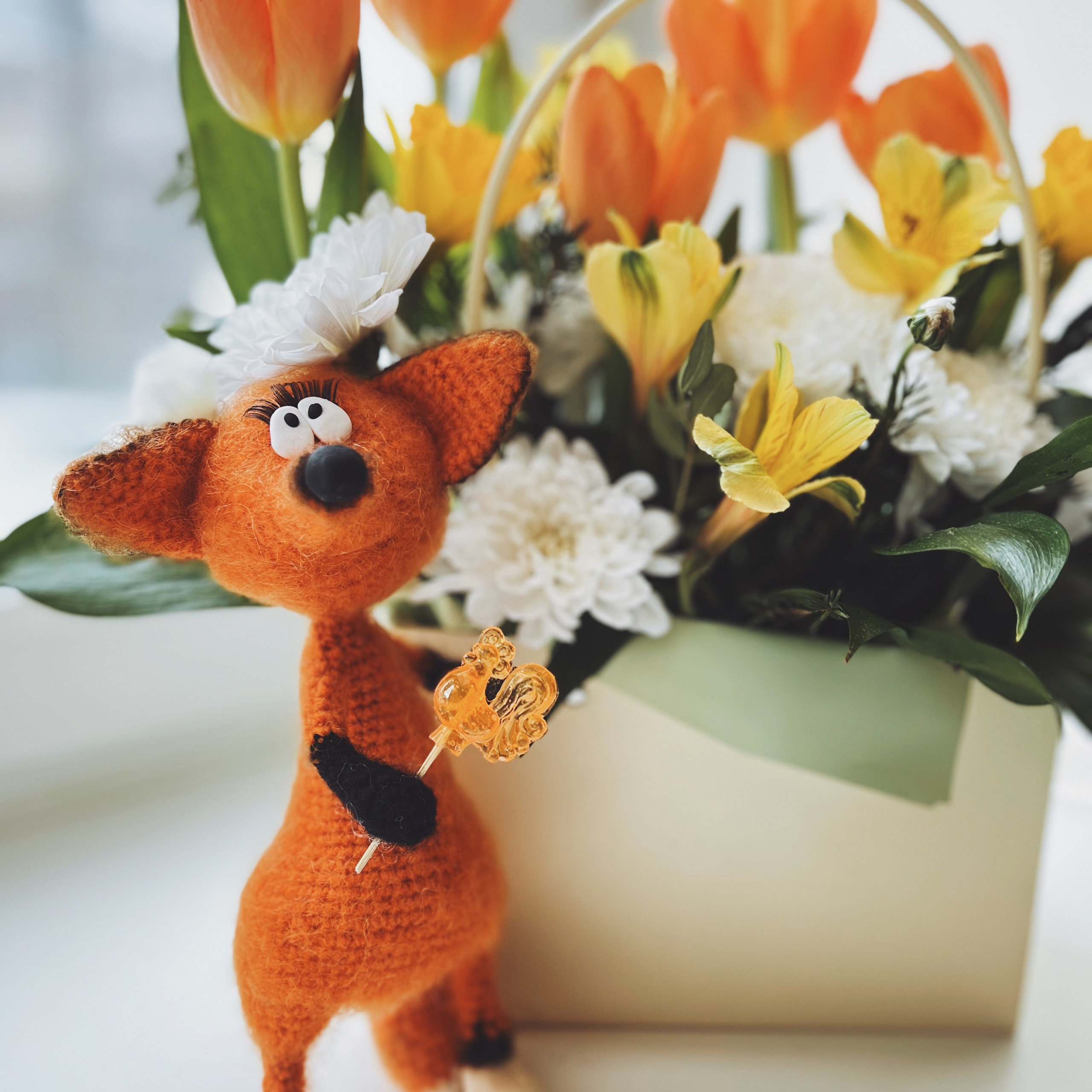 Отзывы. Фотограф новорожденных Новосибирск