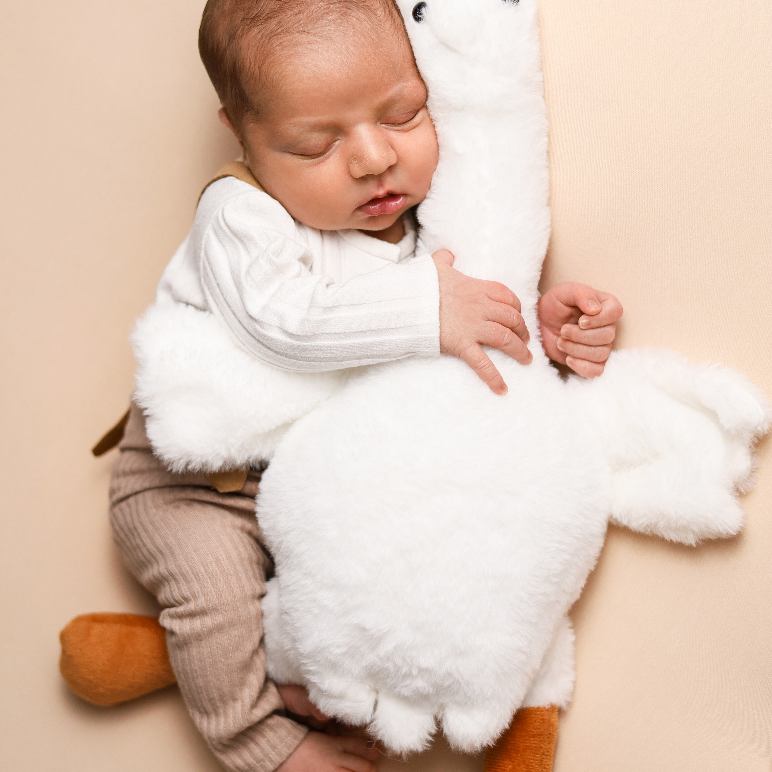 Отзывы. Фотограф новорожденных Новосибирск