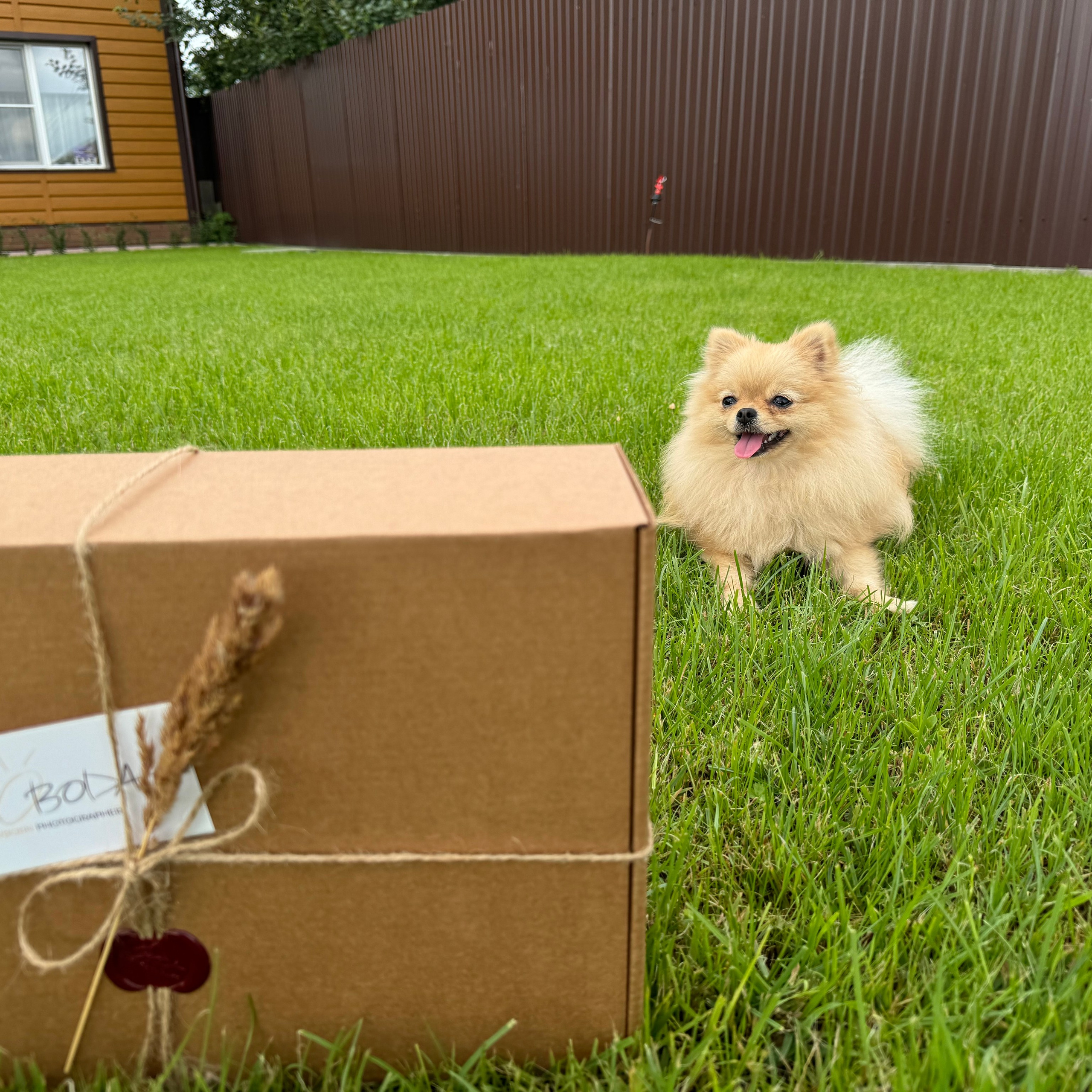 Отзывы. Фотограф новорожденных Новосибирск