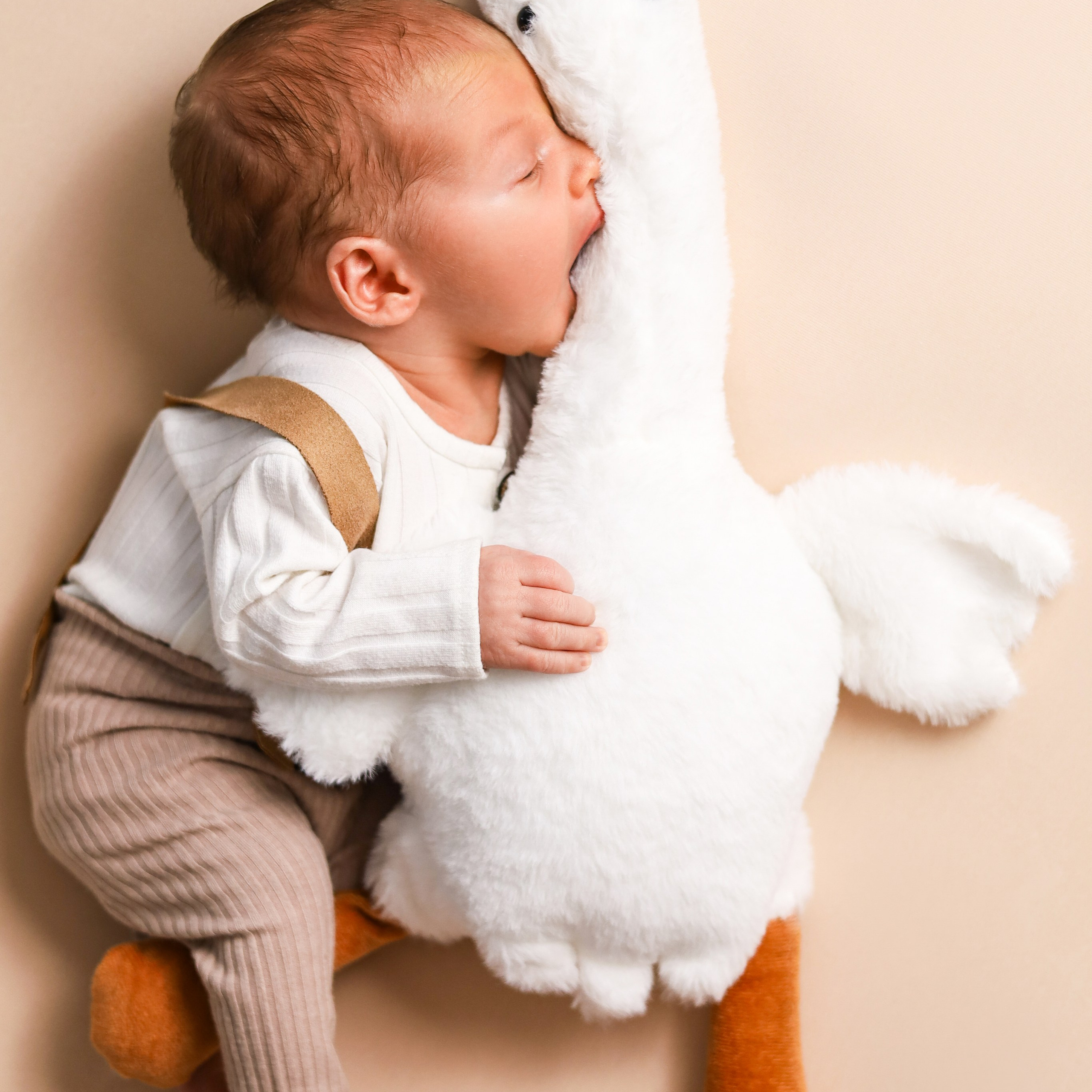 Отзывы. Фотограф новорожденных Новосибирск