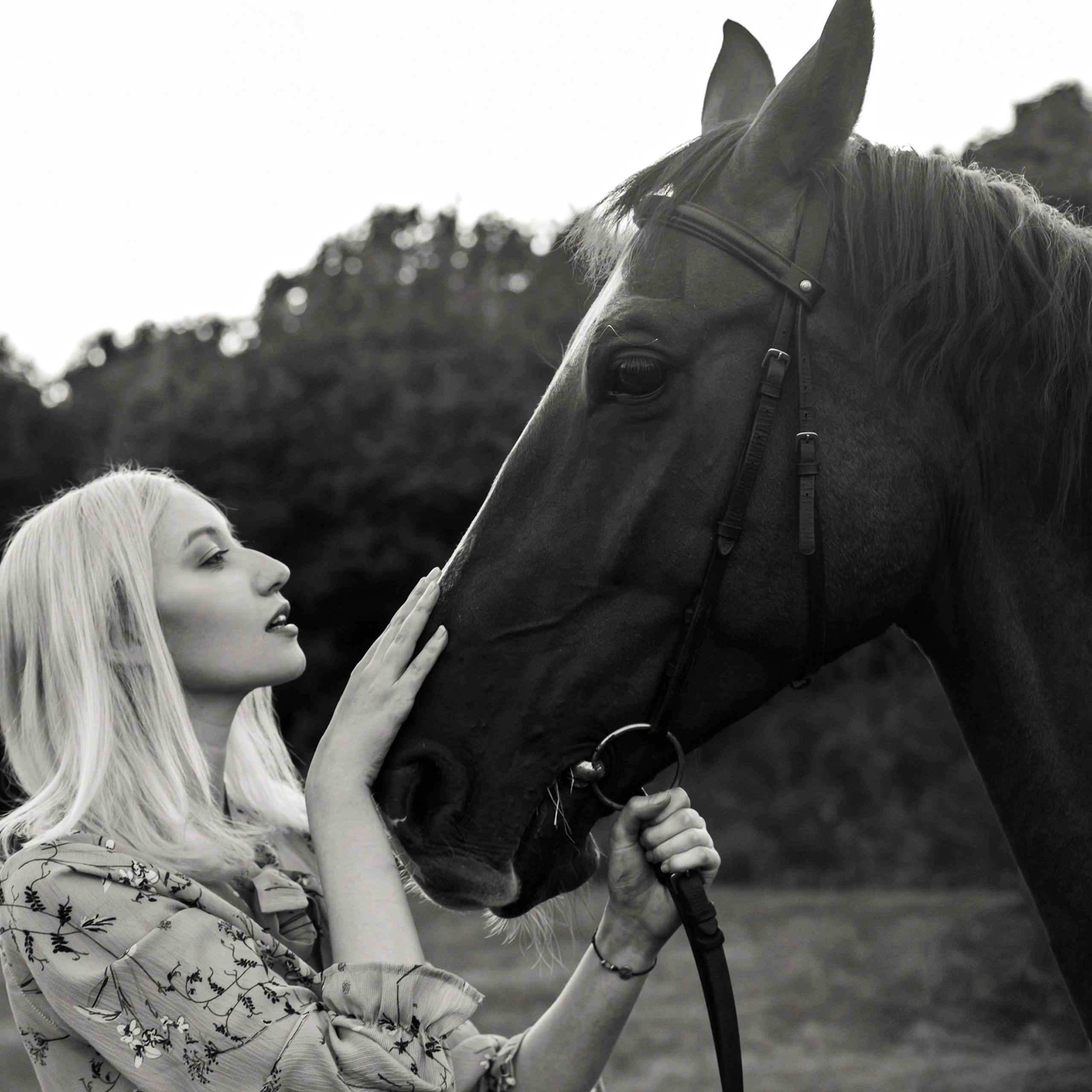 Полина (диалоги с лошадью)