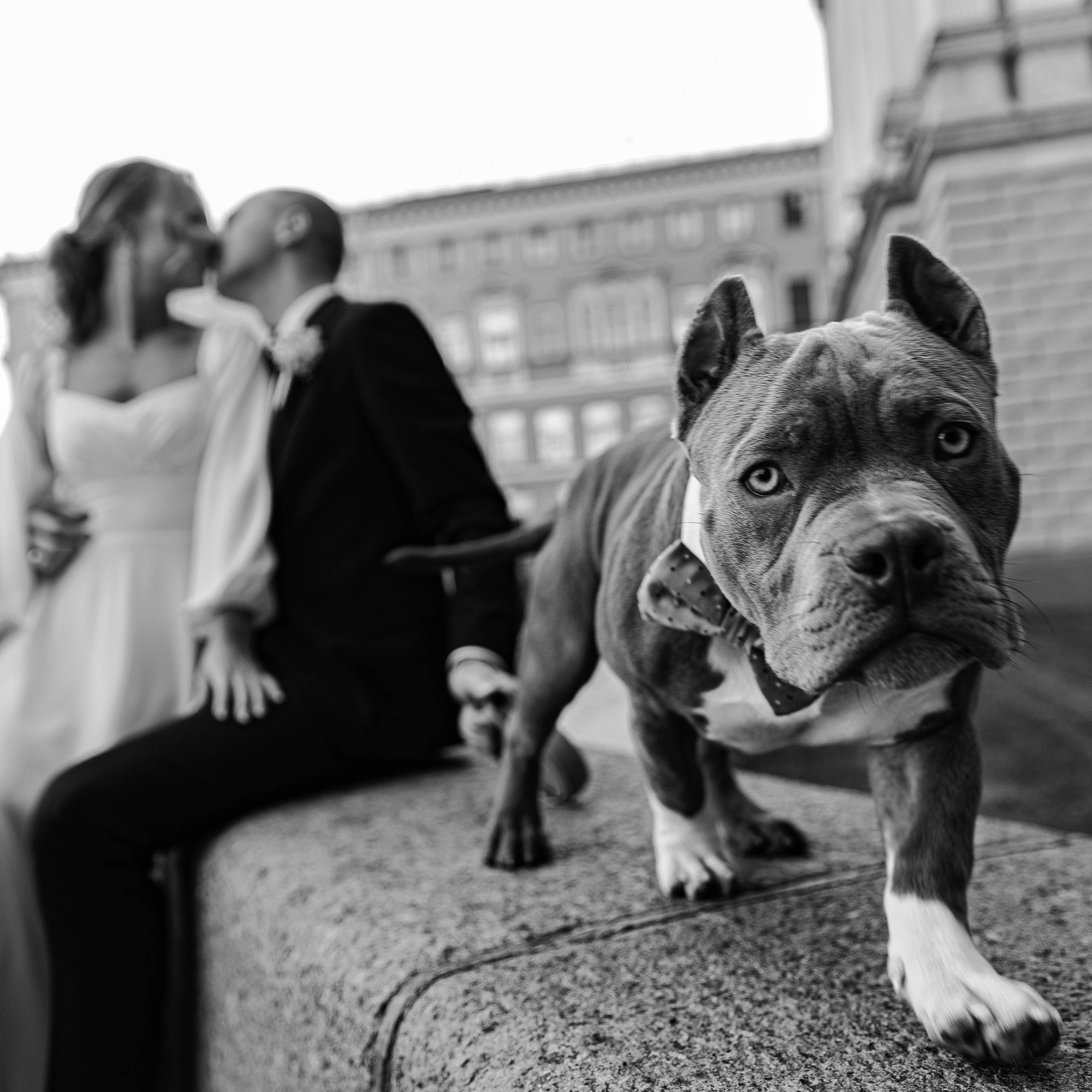 Отзывы. Портретный фотограф в Санкт-Петербурге Саша Гореликова