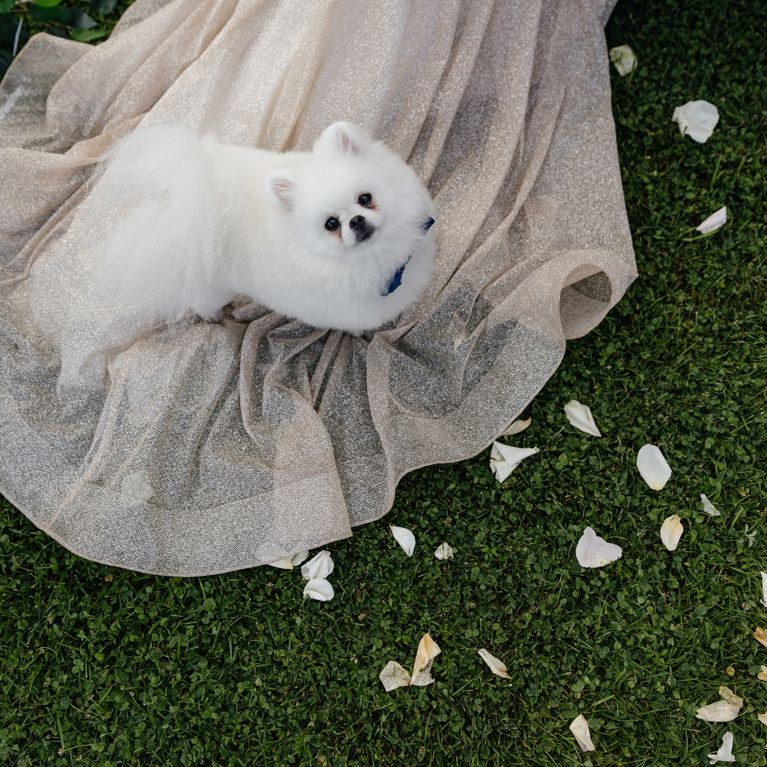 Отзывы. Портретный фотограф в Санкт-Петербурге Саша Гореликова