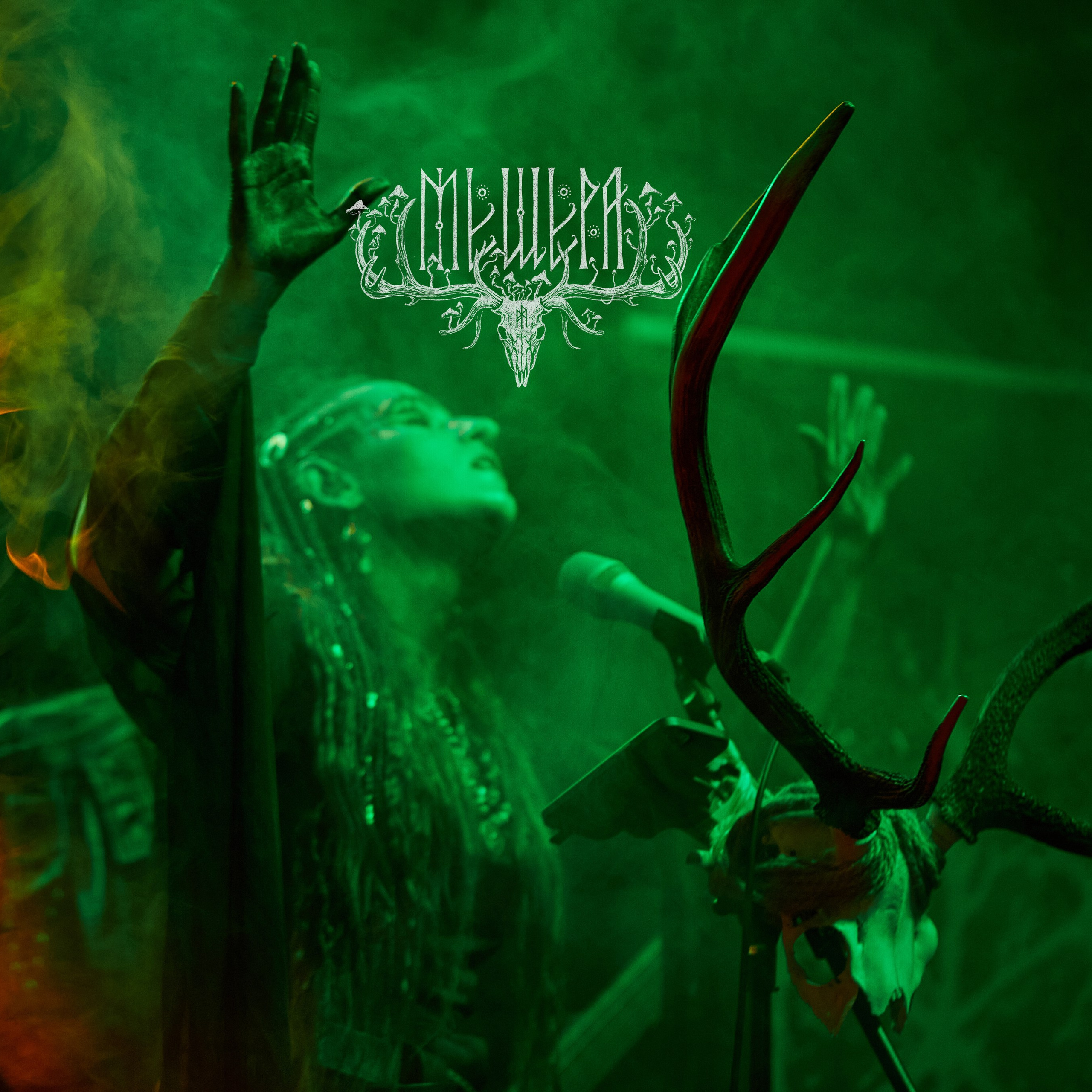 2023-12-24. Мещера