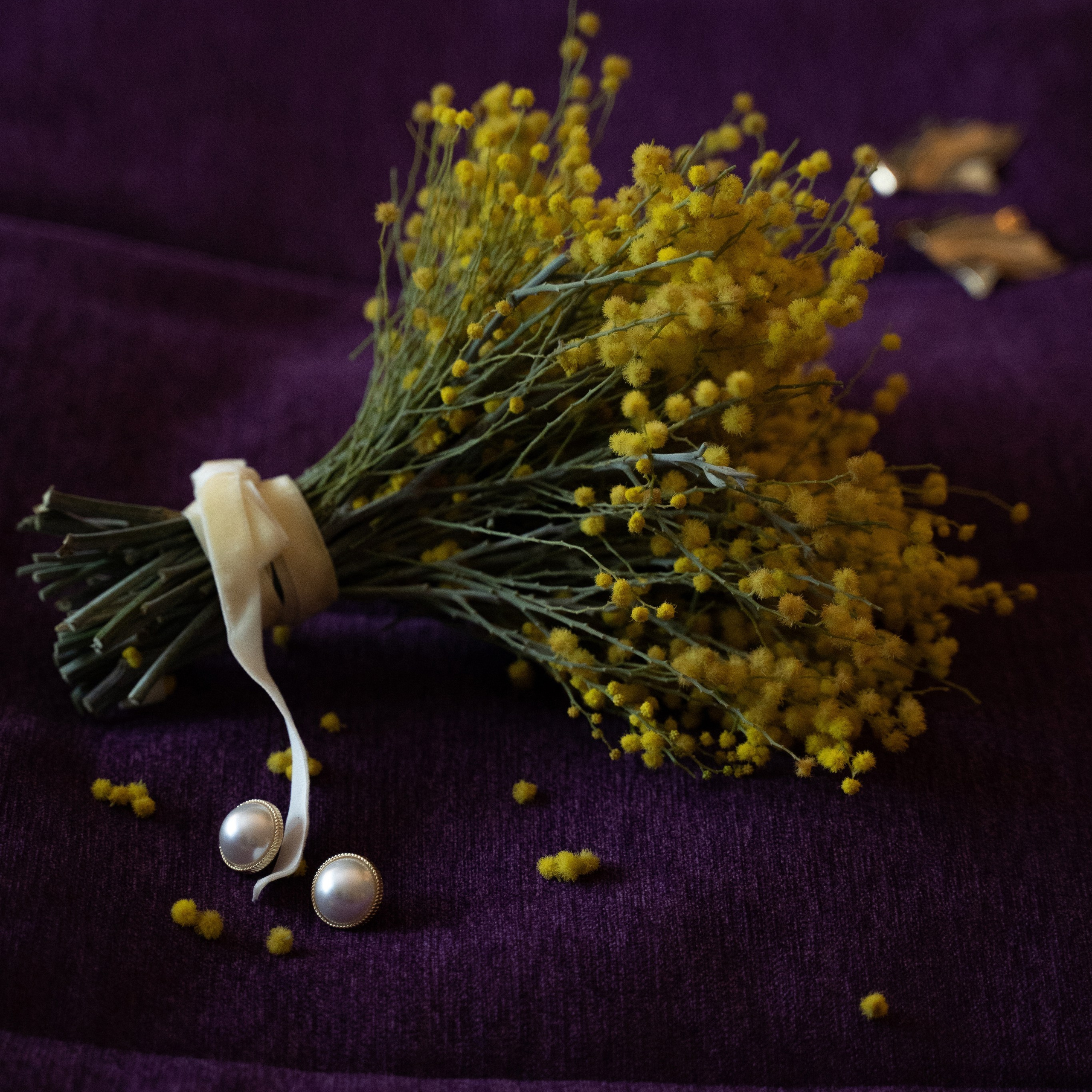 Кружево_Ольга Петрова